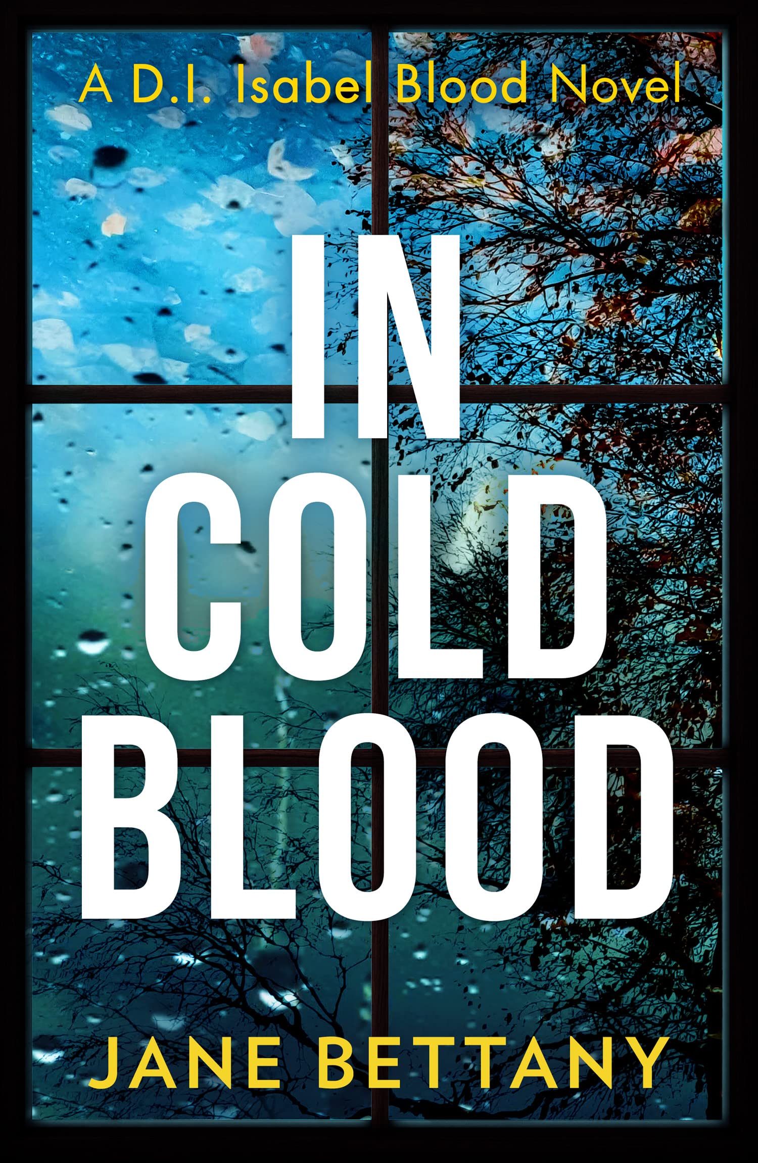 In Cold Blood: A gripping murder mystery novel perfect for all crime thriller fans! (Detective Isabel Blood) (Book 1)