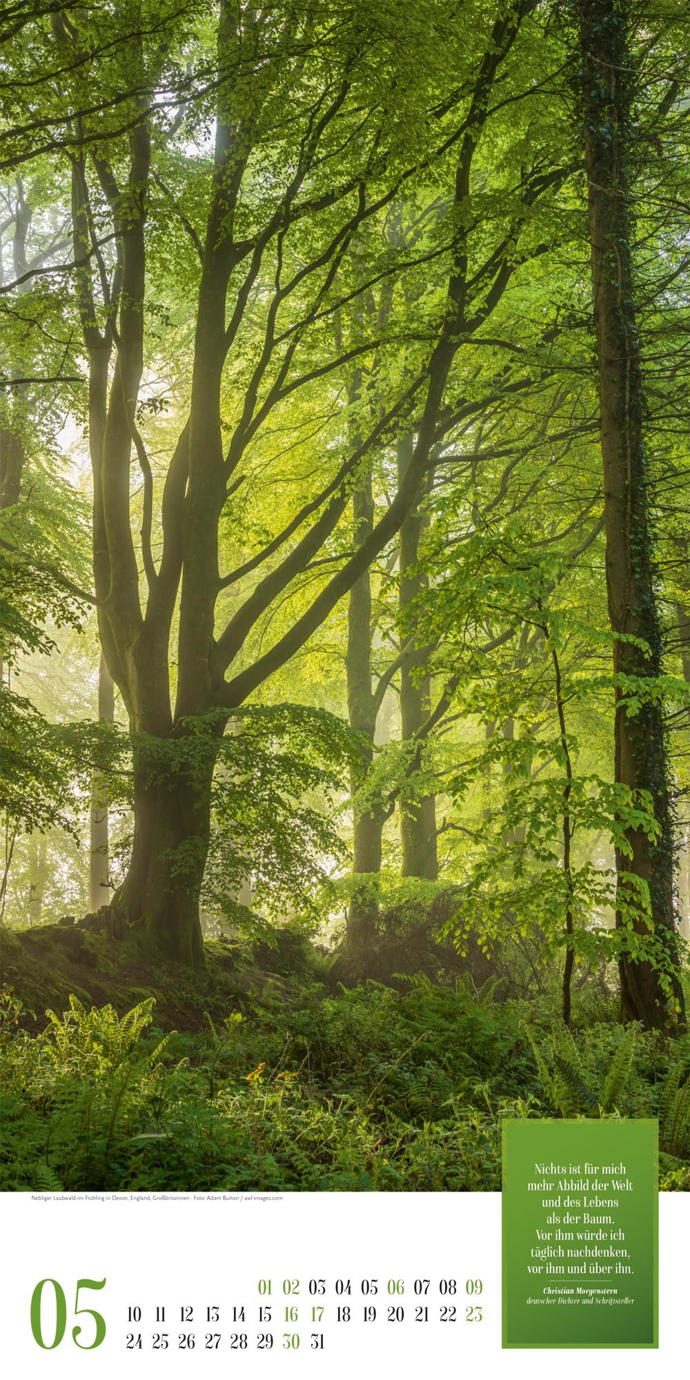 Mythos Wald Literatur-Kalender 2027: Abwechslungsreicher Natur-Kalender im schlanken Hochformat (33x66 cm) | Wald-Motive mit Zitaten
