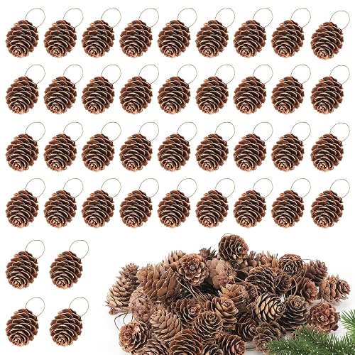 1.2" Natural Small Pine Cones Christmas Ornaments - 40 Pcs