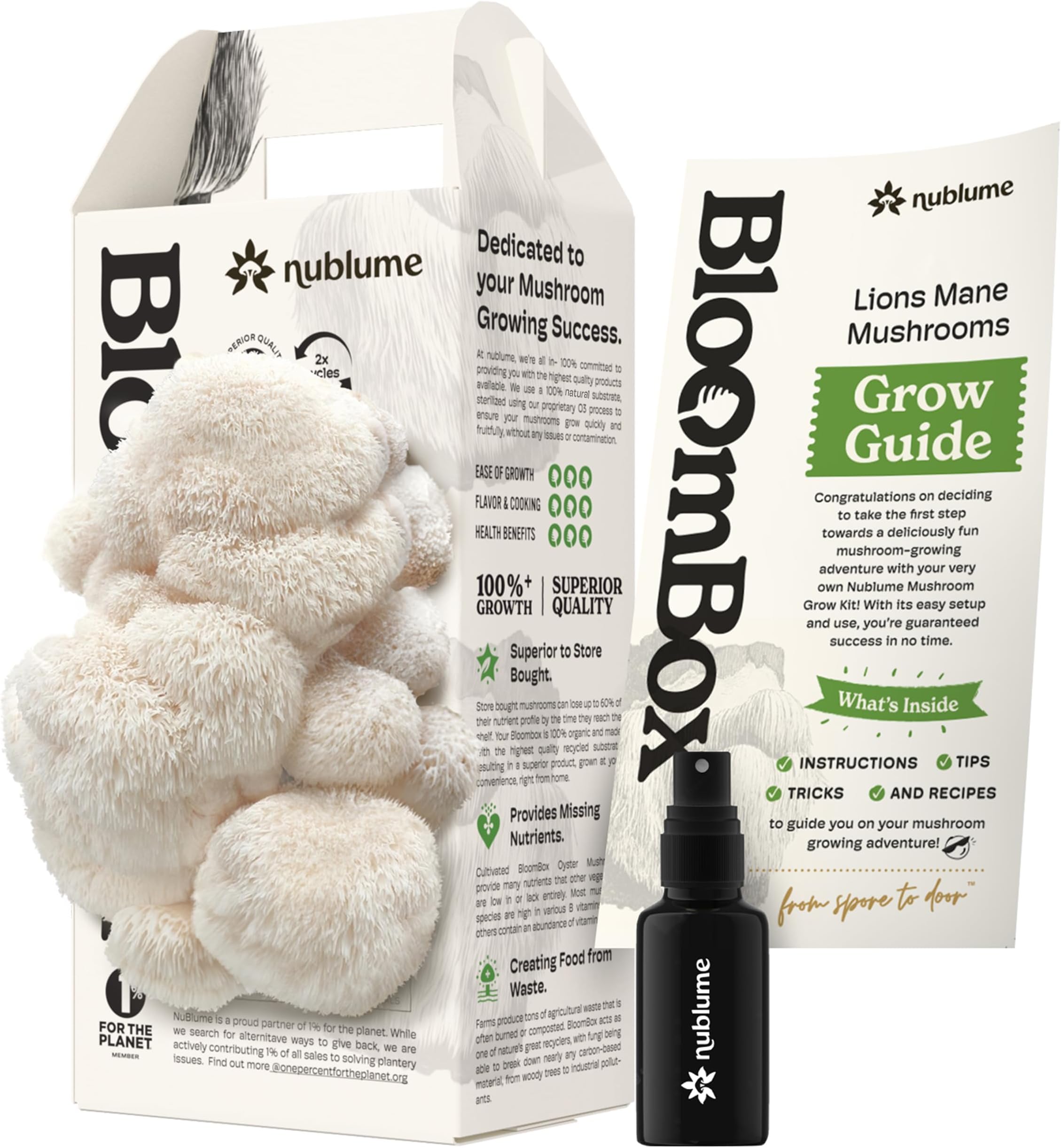 Organic Lion's Mane Mushroom Grow Kit Grow Your Own Fresh Gourmet Mushrooms at Home | Edible Indoor Mushroom Growing Kits Great Gift for Kids & Adults