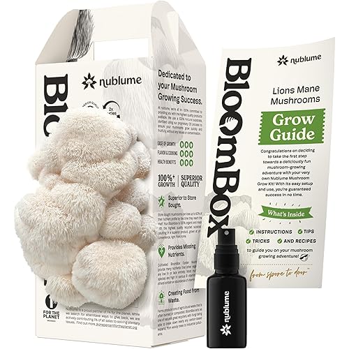 Lion's Mane Mushroom Grow Kit - Ready-to-Fruit Indoor DIY Mushroom Kit | Vegan Crab Substitute Fresh Gourmet Mushrooms 7-10 Days | BloomBox Grow Guarantee