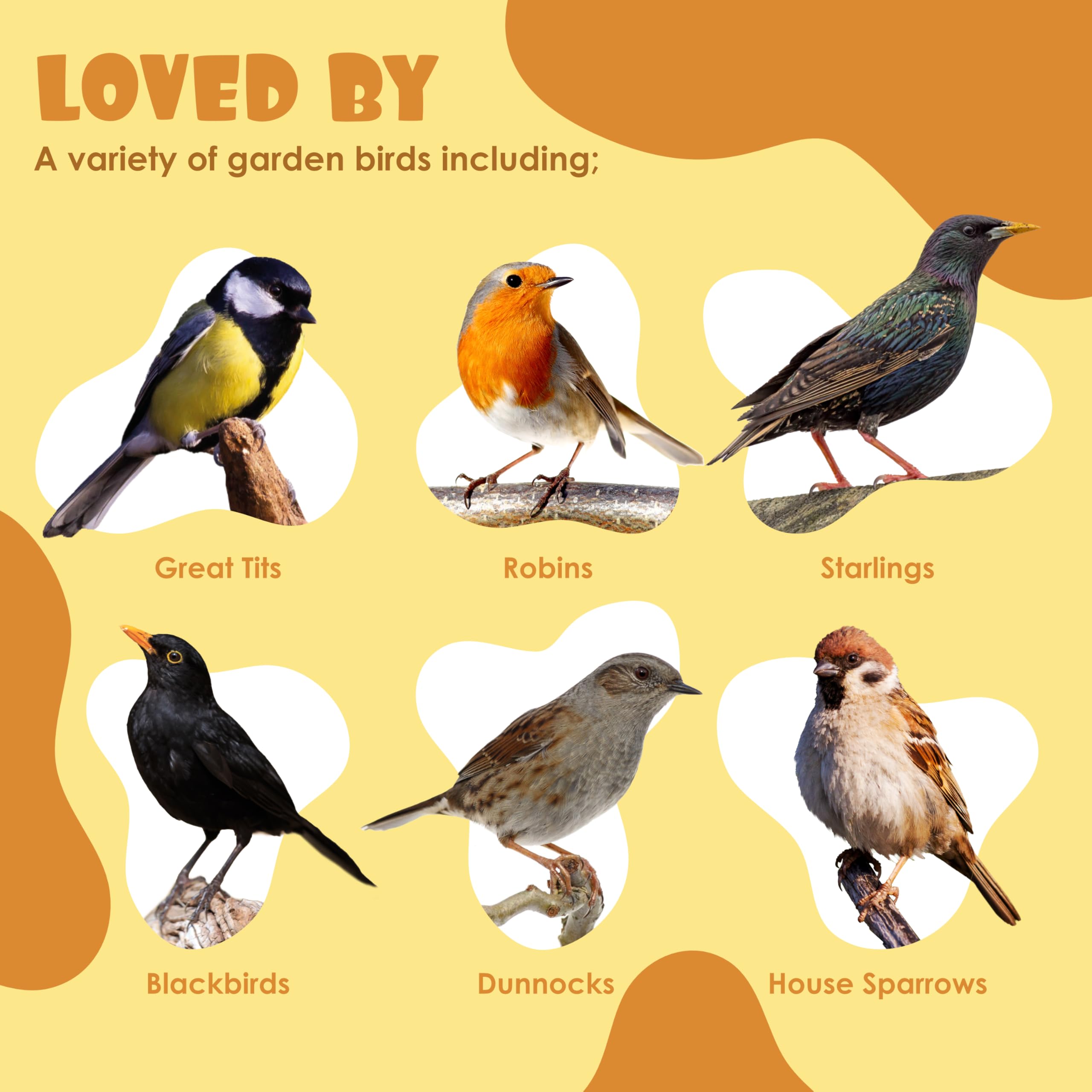 Suet Shop - Peanut & Mealworm Suet Pellets, 3kg Resealable Tub - Wild Bird Food Enriched with Human Grade Beef Tallow, High in Energy & Protein - All-Season Bird Feed - Manufactured In The UK — view 4