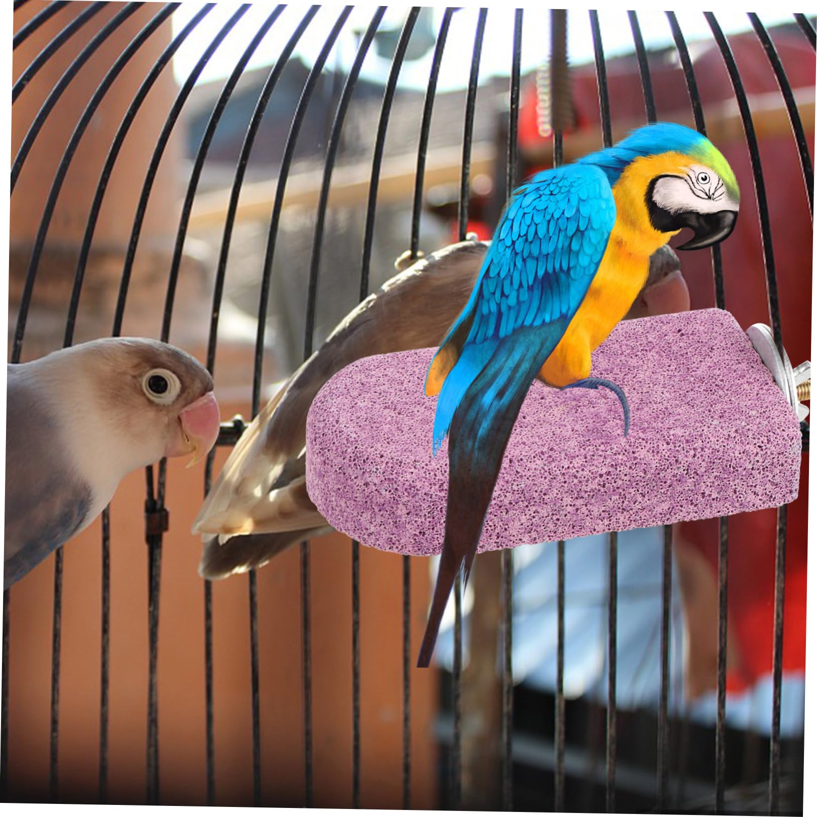 HANABASS 4piezas Perchero De Molienda para Pájaros Soporte De Descanso para Cockatiels y Aves Juguete Masticable De Calcio para Jaulas y Entrenamiento De Mascotas