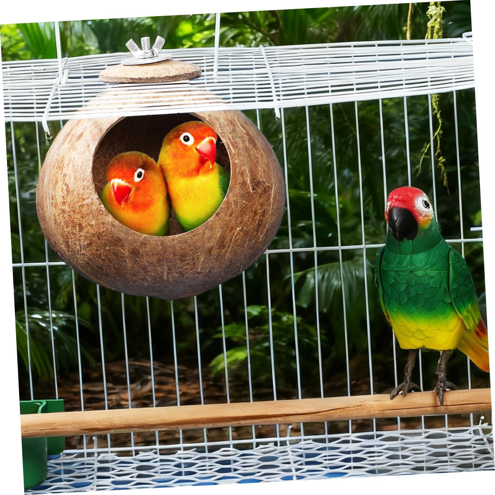Balacoo Nid d'Oiseau en Noix de Naturelle, Cabane Suspendue pour Hamster, Perruche, Canari et Petite Souris, Abri de Repos et Jouet de Cage Écologique, Cachette pour Reproduction (15 cm)