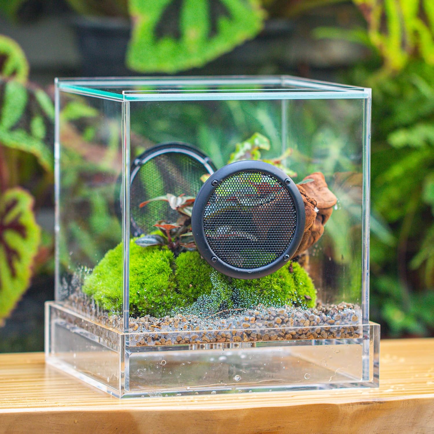 crapelles 5.9x5.9x11.8'' Rectangle Acrylic Closed Insect Enclosure with Drainage Bottom and Drawer, Terrarium Box with Mesh Vents, Feeding Hole for Spiders, Small Insects, Plants (Decors Excluded)