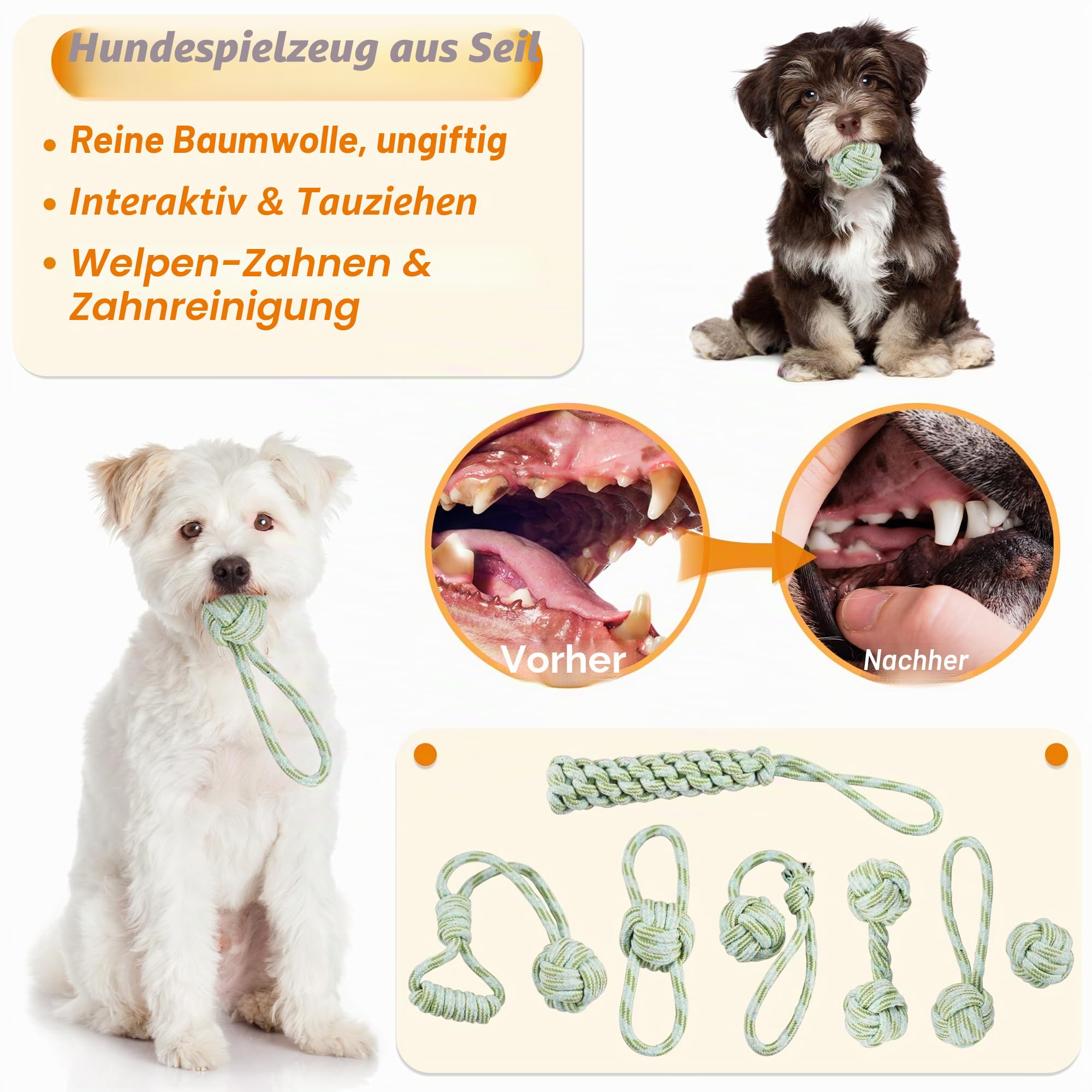 24-Stück Welpenspielzeug-Set, Welpenspielzeug zum Zahnen mit Aufbewahrungsbox, Hundespielzeug und quietschendes Hundespielzeug, Kauspielzeug für kleine und mittelgroße Hunde, zum Spielen