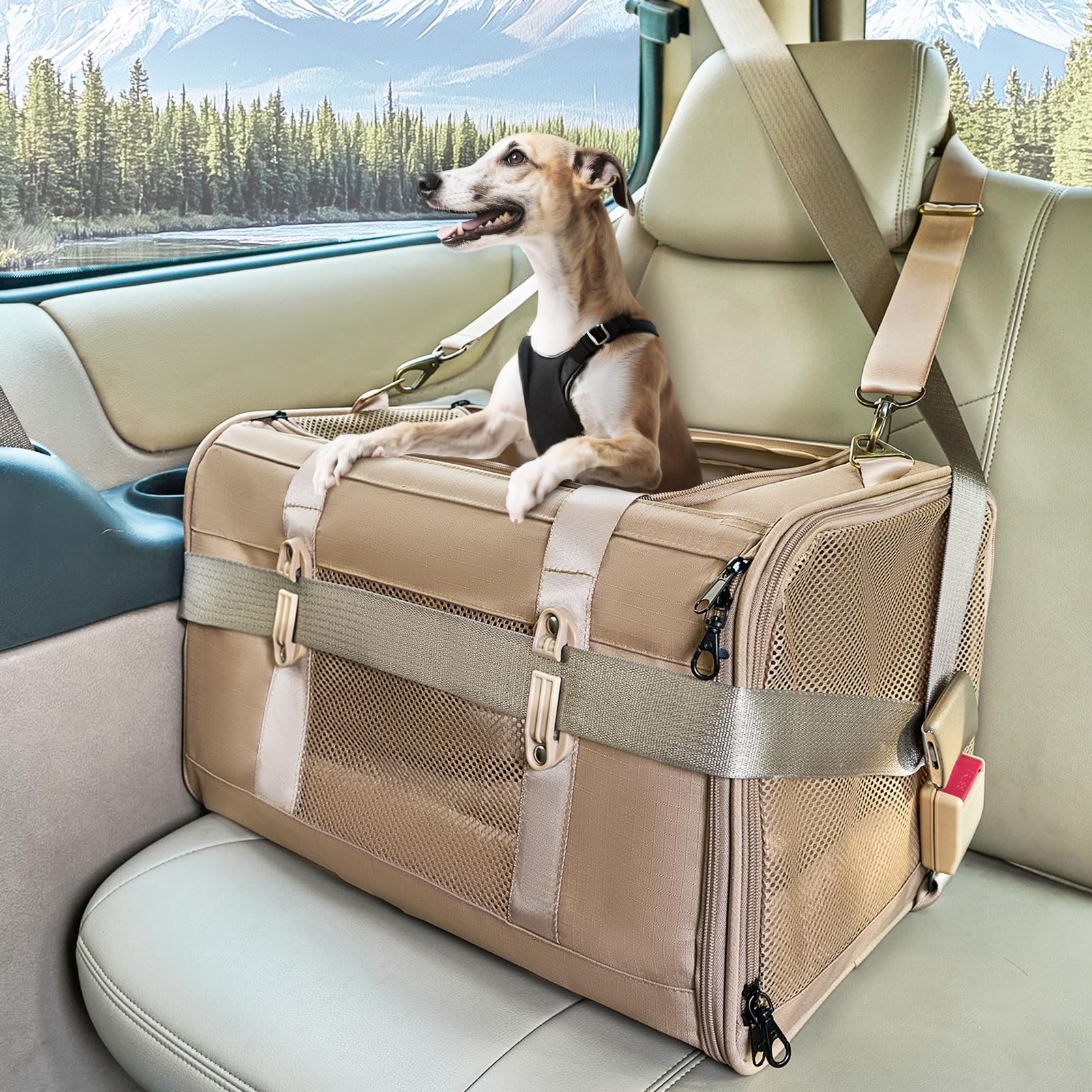 Petsfit Soft Cat Car Carrier for Medium Cats & Small Dogs with Safety Buckles & Lockable Escape-Proof Zippers – Ideal for Vet Visits, Car Travel & Outdoor Use，Gift for Pet