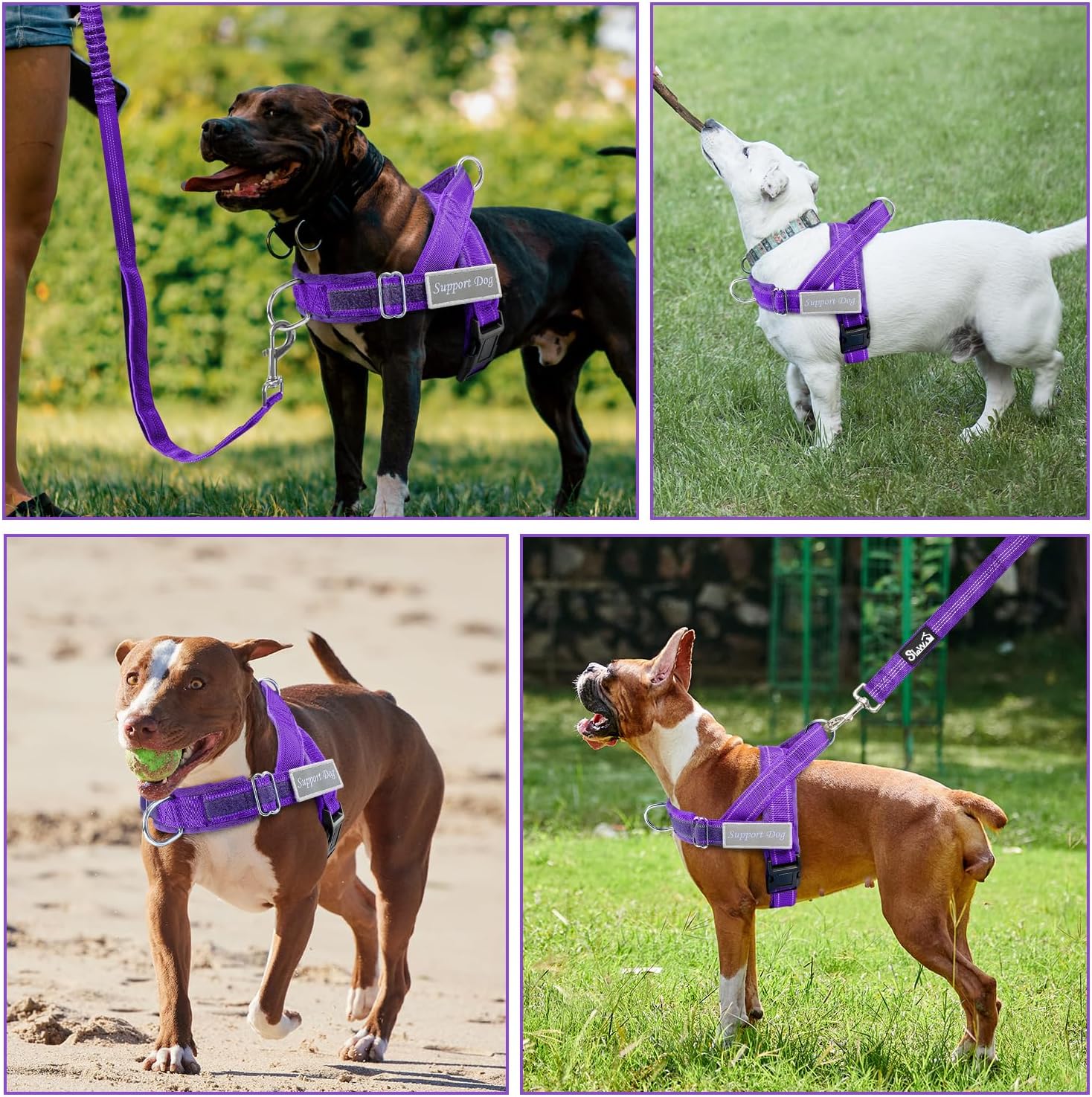 SlowTon No Pull Dog Harness - Heavy Duty Dog Harness and Leash Set for Medium Large Dogs, Reflective Tactical Harness with Soft Padded and Front Clip for Easy Walk and Training (PU, S)