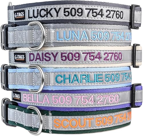 GoTags Collar reflectante personalizado para perro, collar de seguridad bordado personalizado con nombre de mascota y número de teléfono para perros