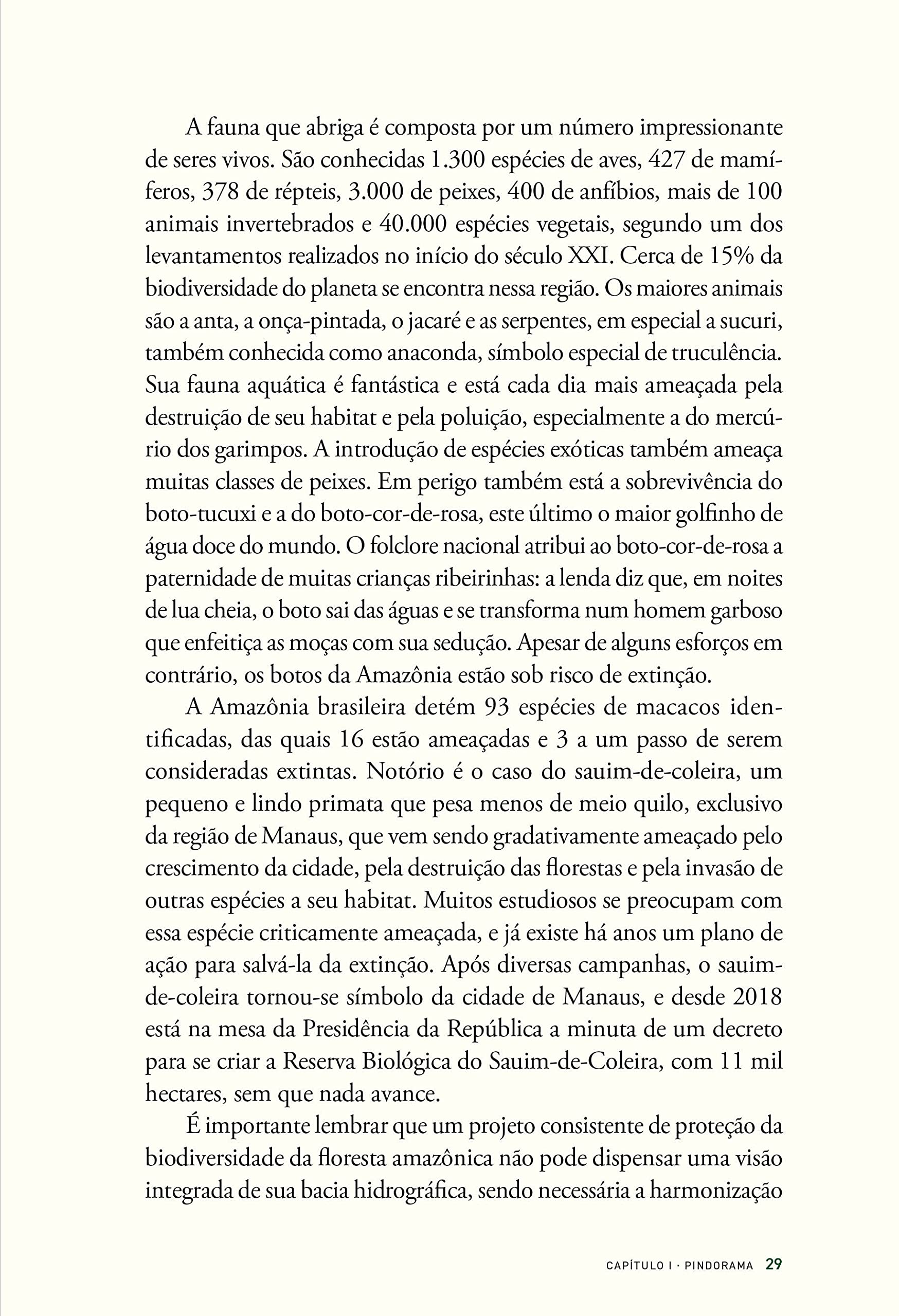 História das florestas brasileiras