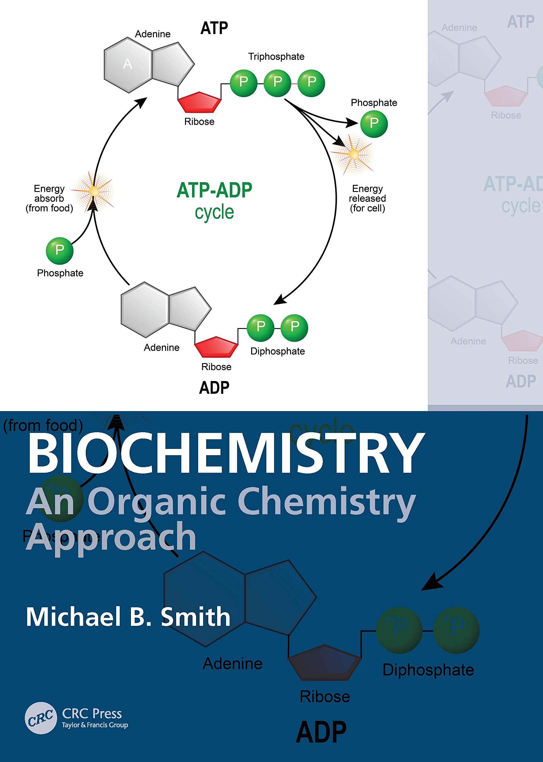 Biochemisty: An Organic Chemistry Approach, Smith 9780815366454 Free Shipping..