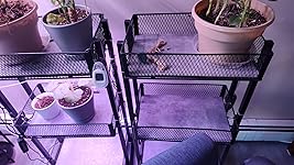 Review Image by Tom Tom