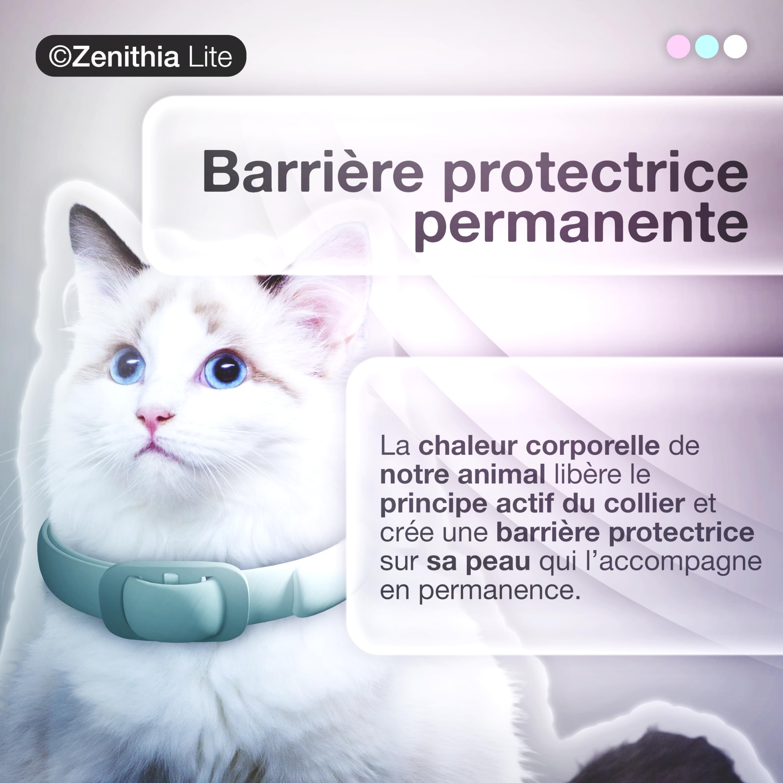 ZENITHIA Lite Collier Antiparasitaire Chat – Répulsif Insectes, Anti-Puces, Tiques et Moustiques – 12 Mois Protection – 48 cm – Ajustable – Végétal – Étanche – 1 Unité