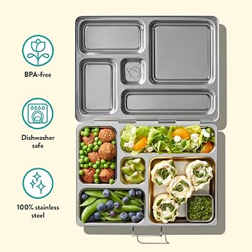 PlanetBox Rover Stainless Steel Bento Box Style Lunch Box Kit for Kids with 5 Compartments, Dino Dig Edition includes Insulated Lunch Bag, Leakproof Food Containers and Matching Jurassic Magnets
