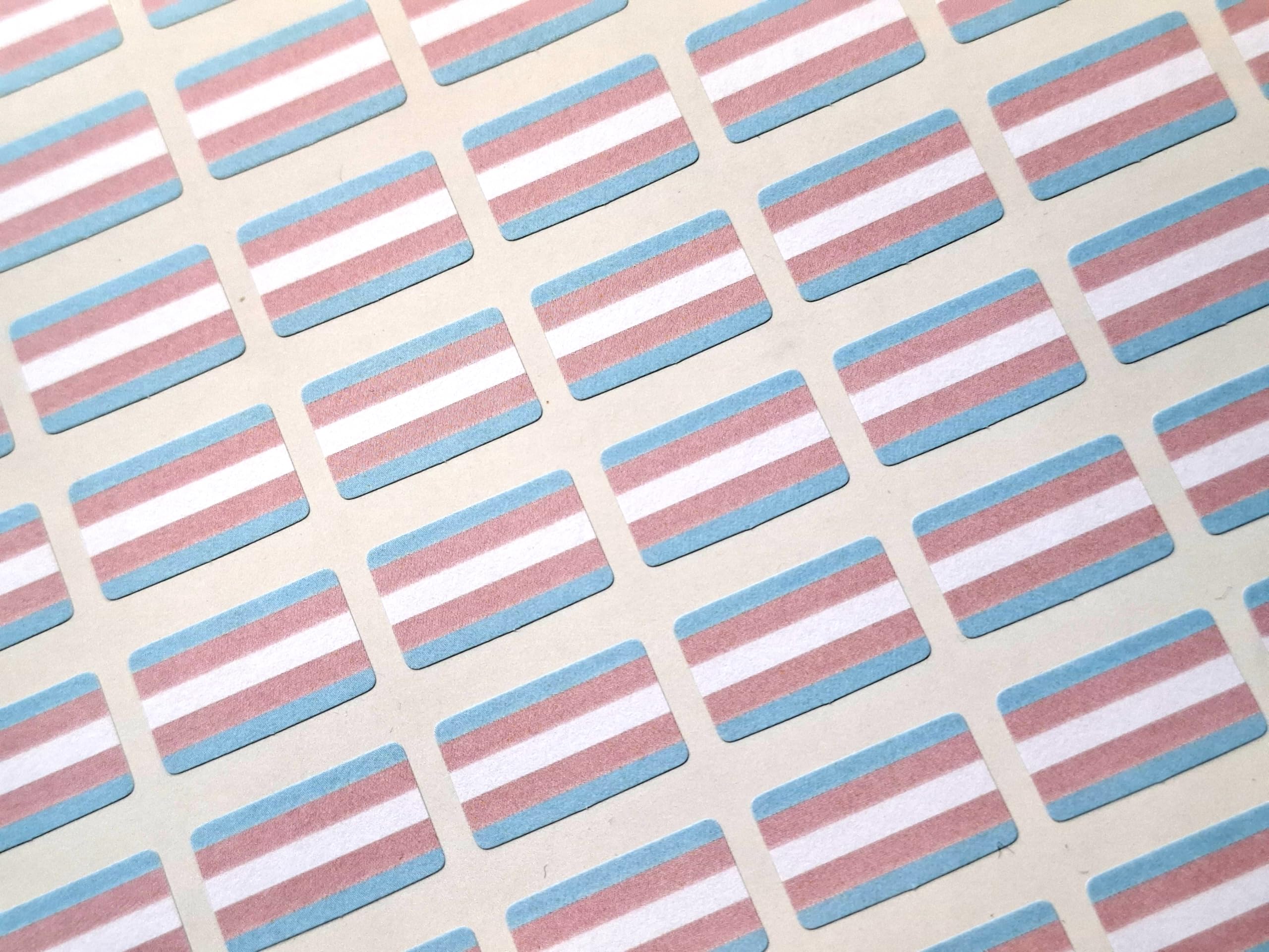 Minilabel Mixed Pack Of 64 Small Mini 20X12mm Transgender Pride Rainbow Lgbt Flag Stickers, Sticky Labels