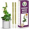 DUSPRO 42 Mesh Moss Pole for Climbing Plants, Natural Moss Pole Monstera Plant Support, Real Moss Poles for Plants Indoor, Moss Stick for House Plants, Moss Stakes for Climbing Plants