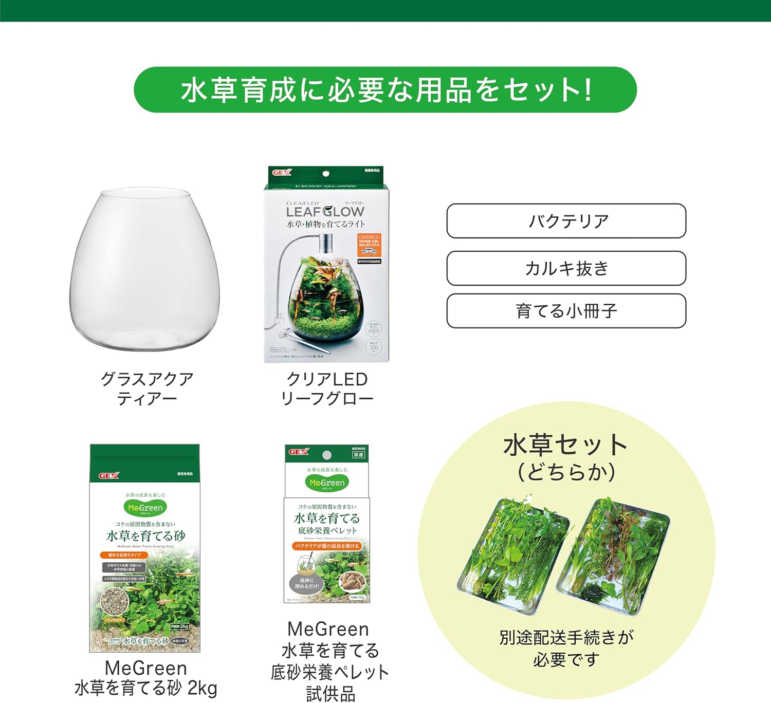 Fresh Waterweed Inclusive Glass Aquarium Set by MeGreen