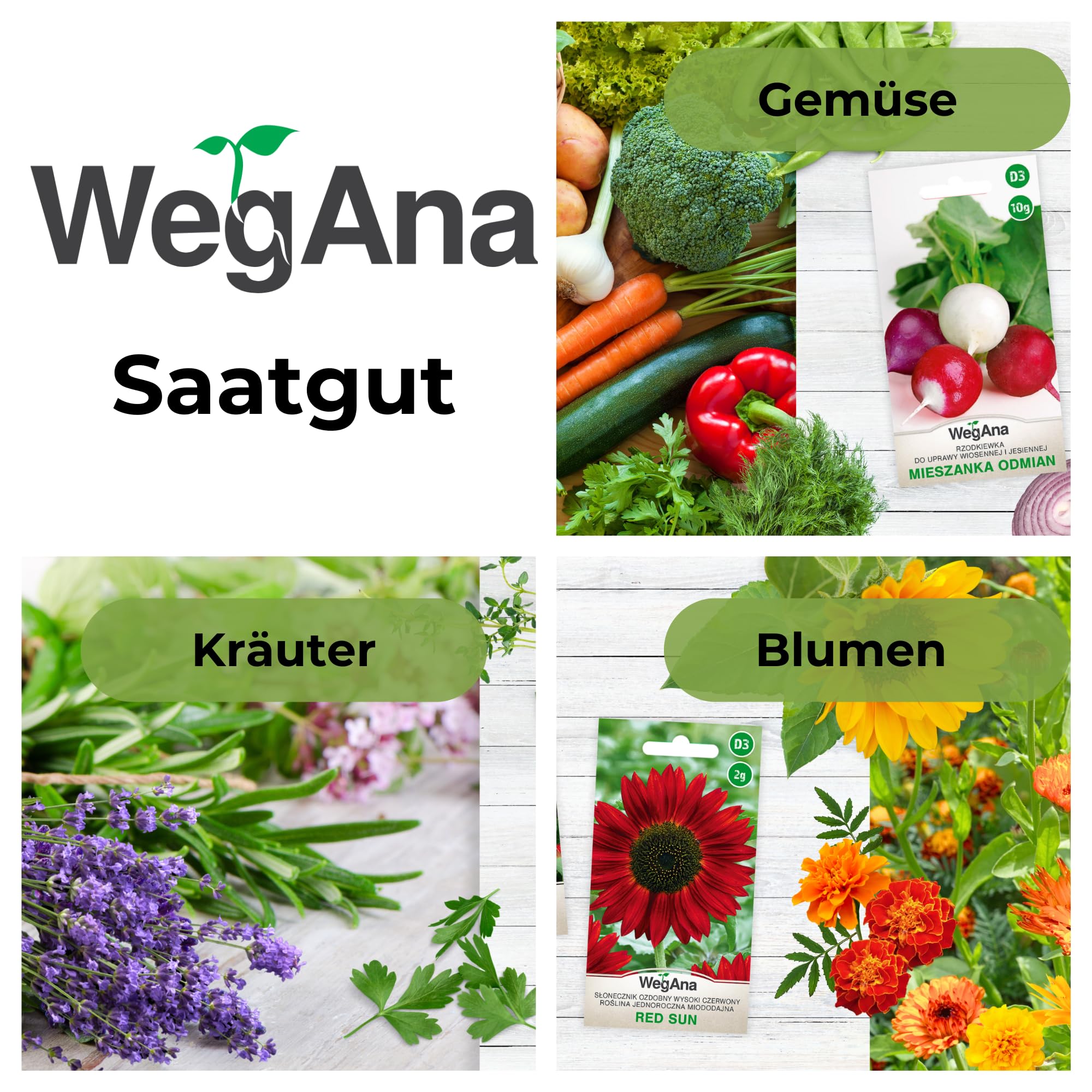 Maciejka 3g - WegAna