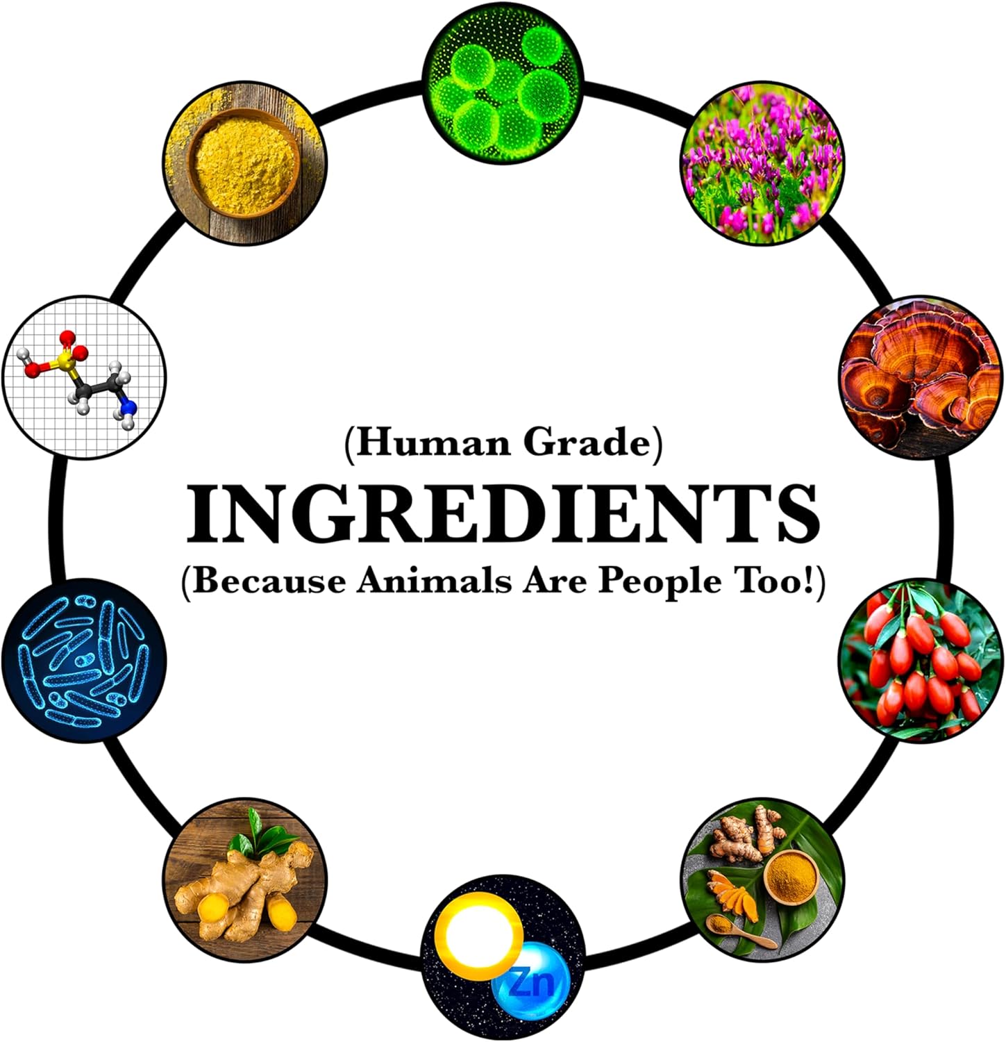 Anti-Aging & Immune Support | Organic, Human-Grade Ingredients | Medicinal Plants & Mushroom Extracts | Omega 3's, Antioxidants, Probiotics, Vitamins & Minerals | Plant-Based & Vegan