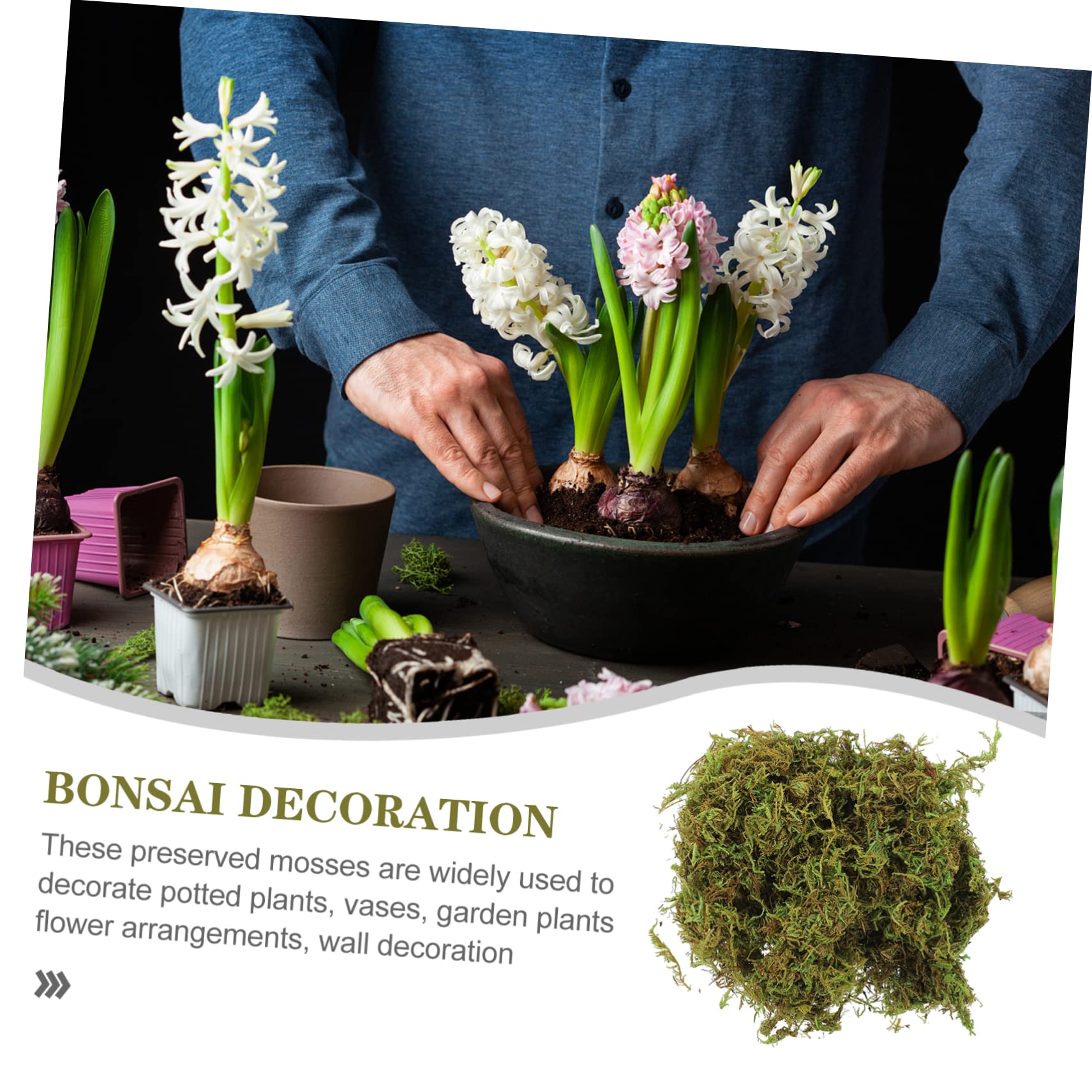 ibasenice 4stücke Ewige Moos-Dekoration Erhaltendes Moos Für Pflanzen Blumendekoration Wandgestaltung Für Hochzeiten Garten Zuhause Pflegeleicht Langlebig Vielseitig Einsetzbar