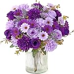 Dremisland 3 Pack Fleurs artificielles d'orchidée Faux Phalaenopsis Fleurs Artificial Potte Plante Real Touch Fleurs d'archid Faux Greenery Plantes Décor pour la maison Bureau de table Salon Salle de bain