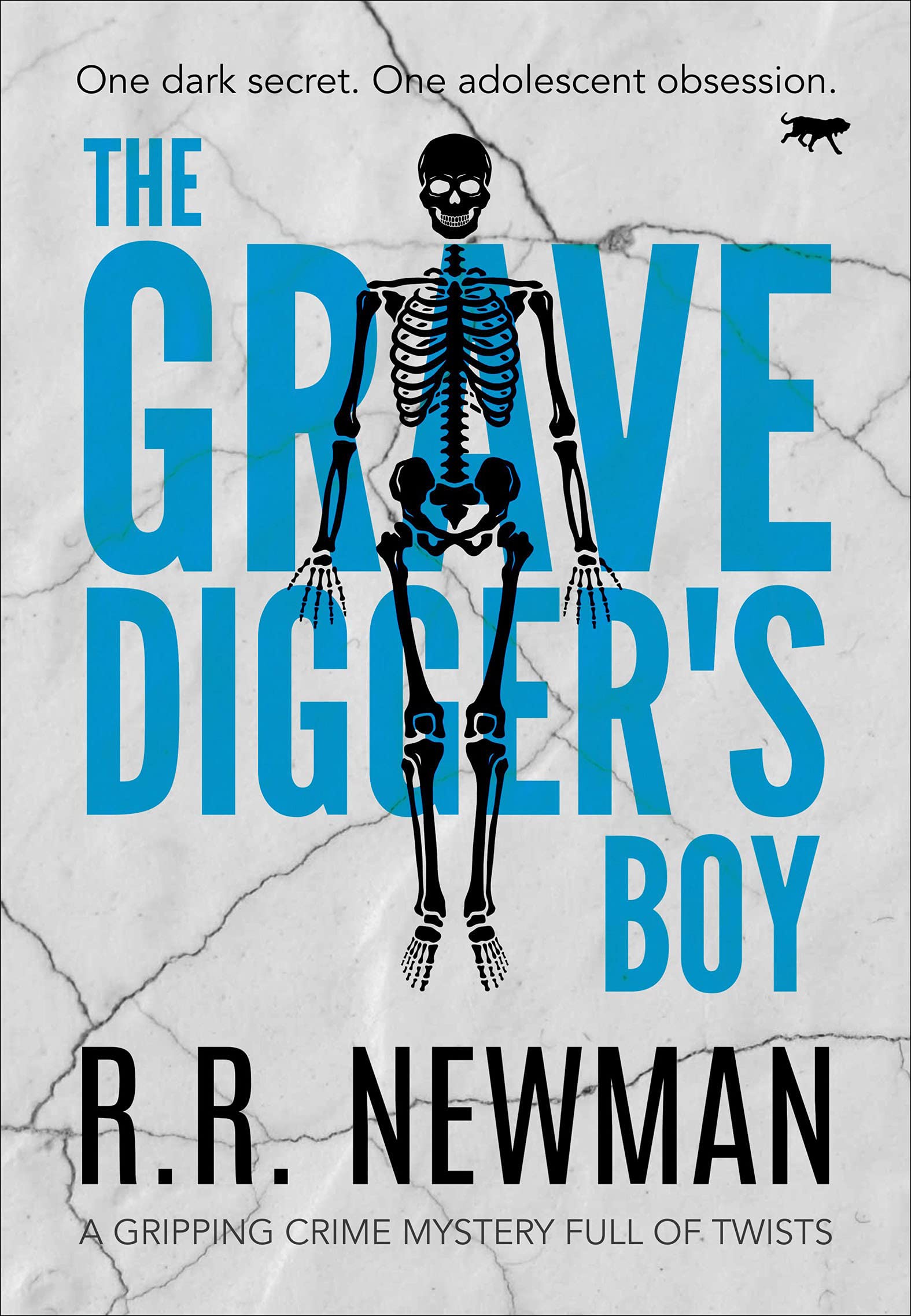 The Grave Digger's Boy: a gripping crime mystery full of twists