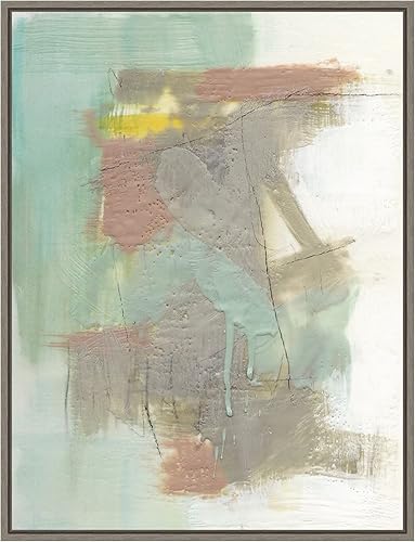 Amanti Art Framed Canvas Wall Art 24x18 Retro Splash IV by Jennifer Goldberger, Framed Wall Art Canvas, Abstract Artwork, Country Rustic Decor,