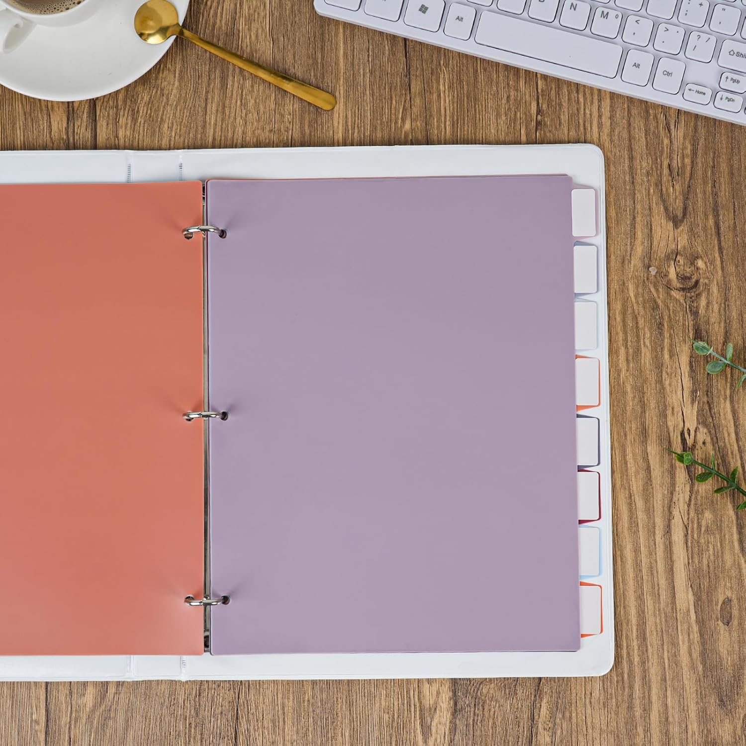 Paletta Perfetto Lilly - In Plastica, Design Zucca O Ghiaccio - Foto 5