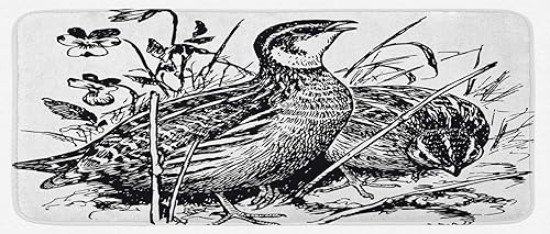 Lunarable Tapete de cocina de codorniz, pájaros comunes, escaso, flores, pasto, ecología, fauna, diseño de dibujo, tapete decorativo de felpa con