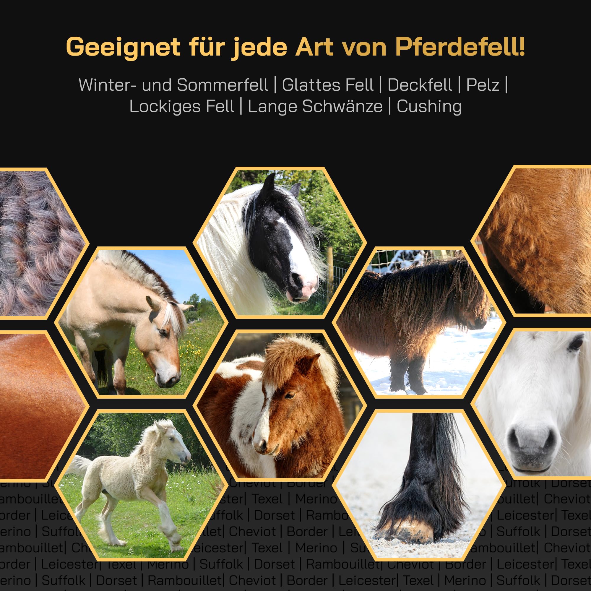 Pferdeschermaschine Komplettset mit Zubehör - Mit austauschbaren Klingen – Leise und vibrationsarm – Seelenfrieden für das Pferd – Geeignet für alle Fellarten und Körperteile – Wartungsfrei