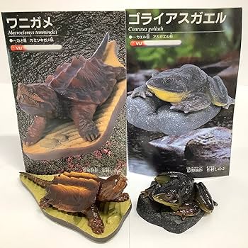 Amazon.co.jp: フルタ 世界の動物コレクション 動物世界遺産
