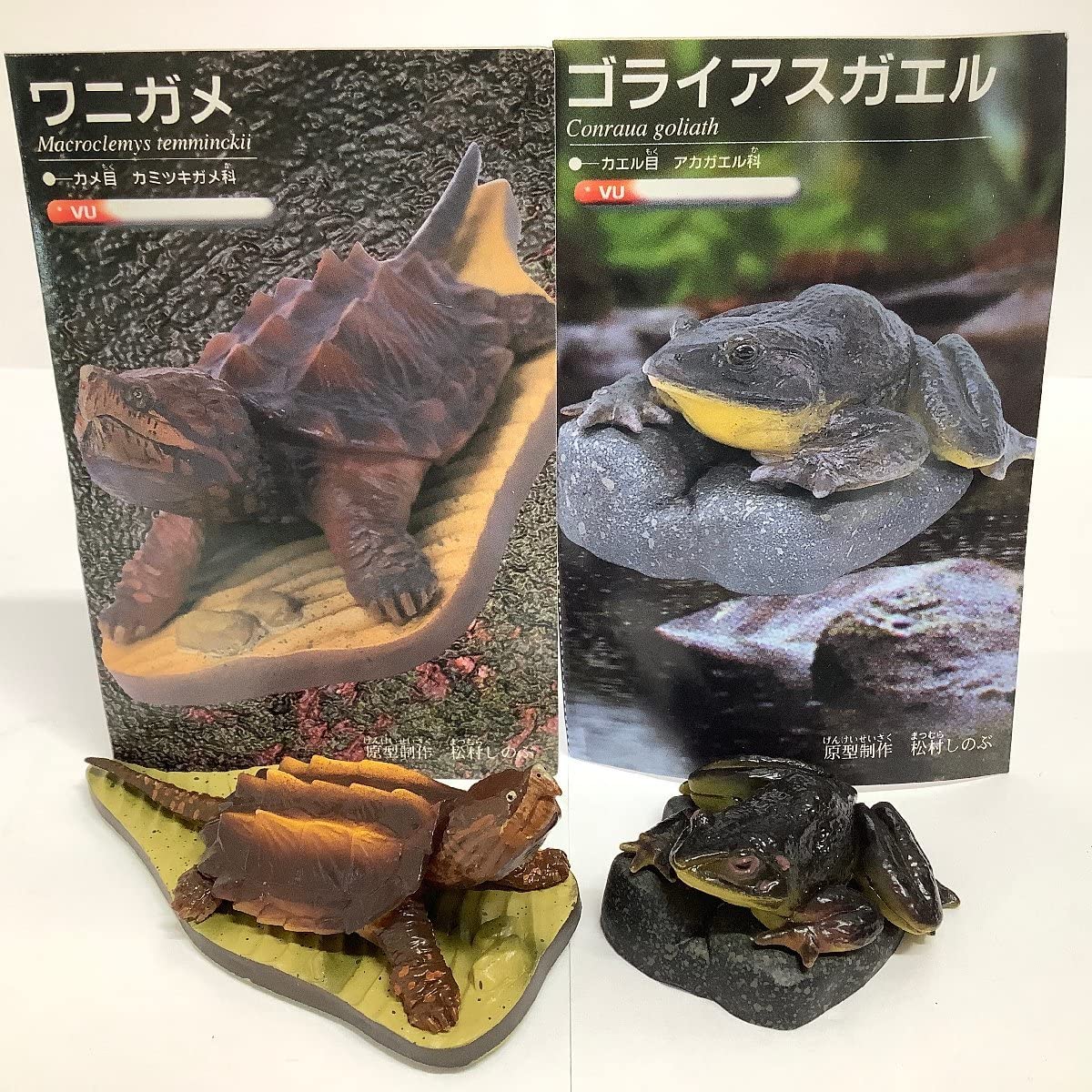 Amazon.co.jp: フルタ 世界の動物コレクション 動物世界遺産 レッド  