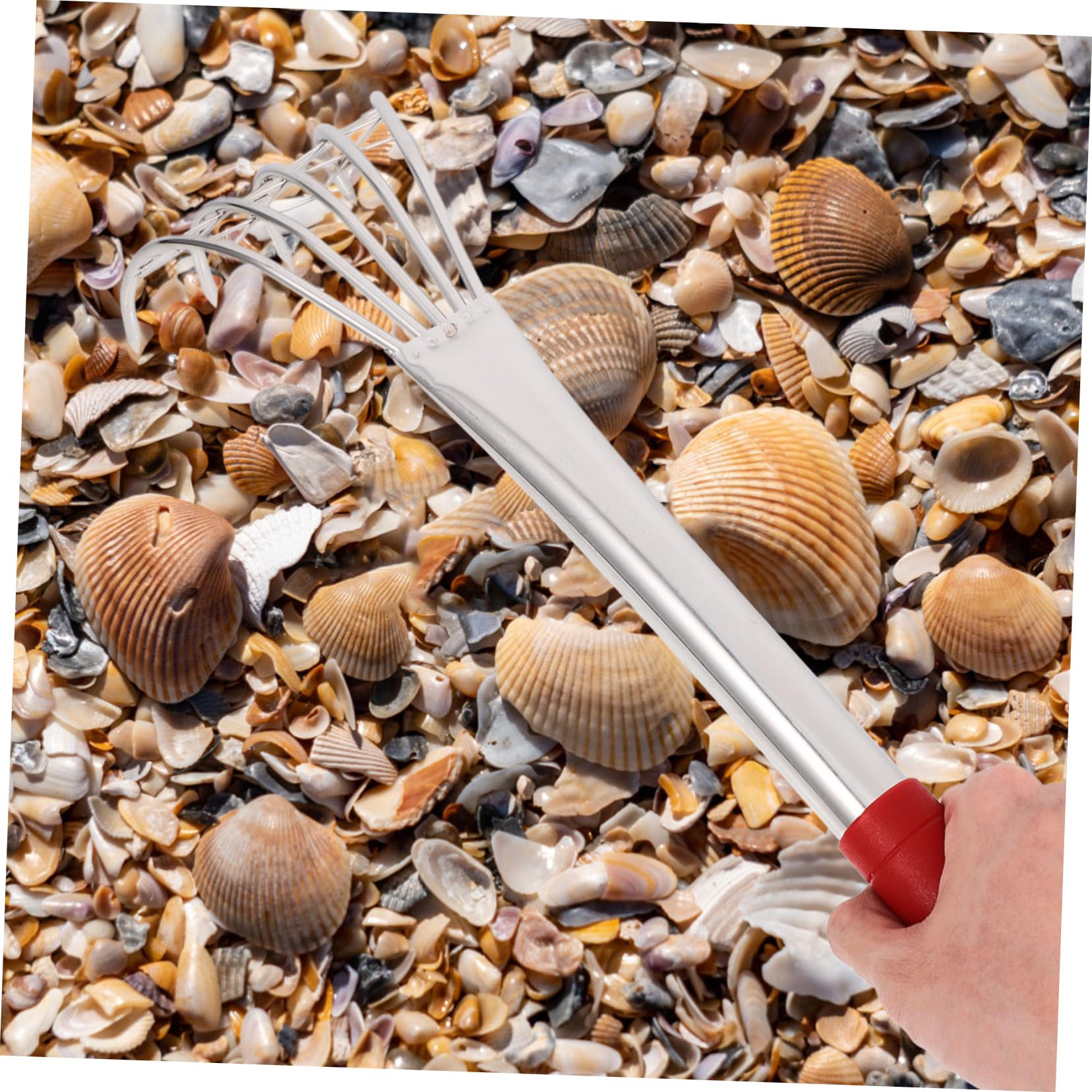 ibasenice 2 Stück Handlicher Muschelrechen Vielseitiges Werkzeug für Strand und Garten zum Muscheln für Gartenarbeiten Langlebig und Einfach zu Bedienen für Gartenliebhaber und