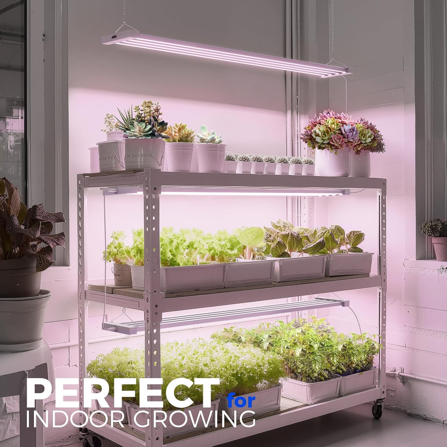 Barrina TX-L63 3FT LED Grow Light, 63W, 4 Panels Wider Coverage, Full Spectrum, High PPFD, Super Bright, Linkable, Hanging Fixture, Plant Stand with Grow Light for Indoor, Vegetable, Seeding, 1 Pack