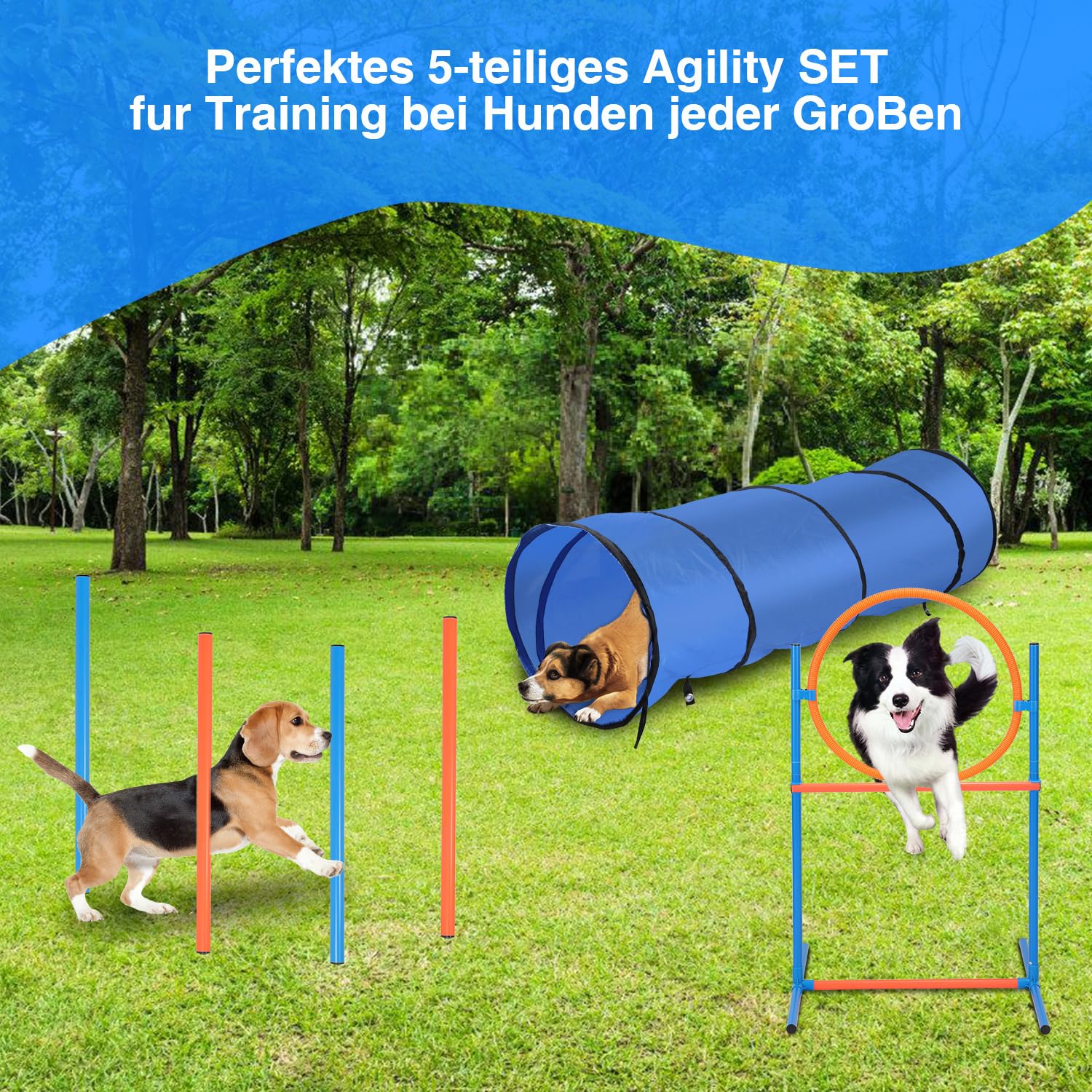 Agility Set Hunde,5-teilig mit Hundetunnel,Slalom,Hürde,Sprungring | Agility-Ausrüstung für Hunde,8 Slalomstangen,Höhenverstellbar,Tragetasche,Hundetraining,Hundesport,Garten oder Park