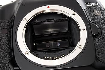 Amazon.com: Canon EOS-1v 35mm SLR Camera Body 2043A005