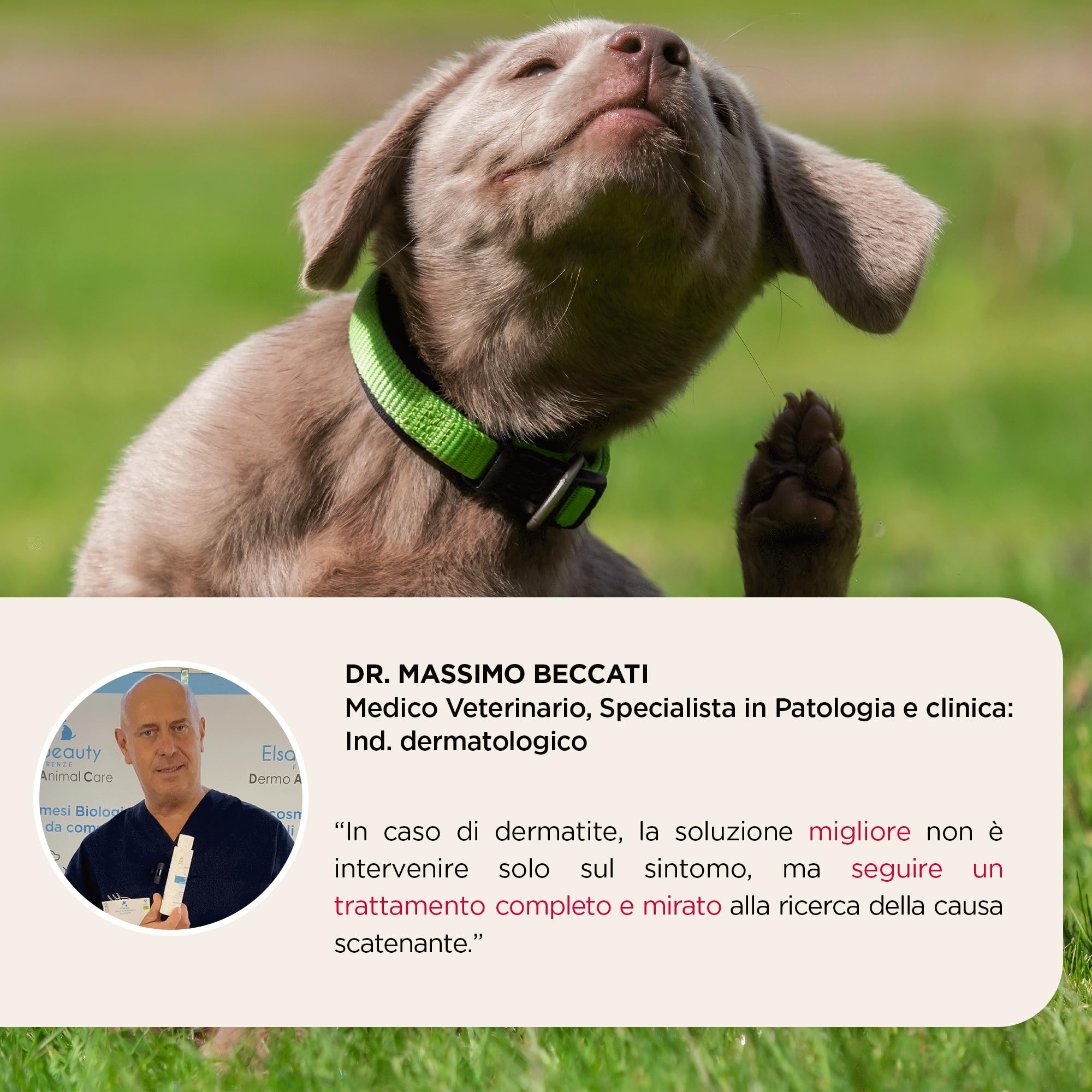 Shampoo Igienizzante Dermoprotettivo per Cani e Gatti, Cute Sensibile e Dermatite, 100% Attivi Naturali,