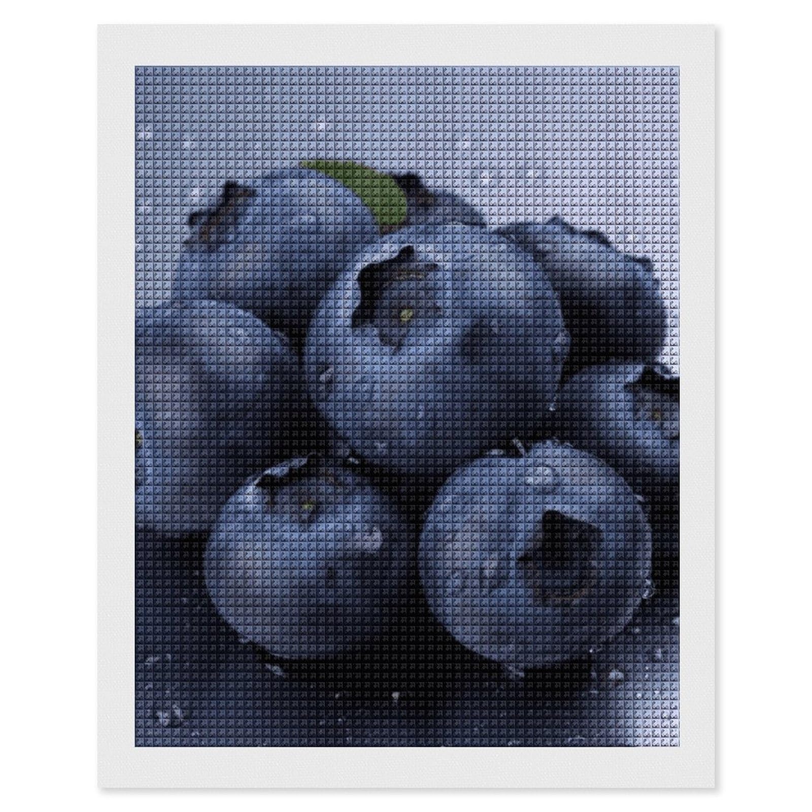 Blueberry Diamond Art Kits for Adults, DIY 5D Diamonds Painting Kits for Beginner, Round Full Drill Diamond Dots Painting, 16"x20" Diamonds Pictures Gem Art and Crafts Wall Decor