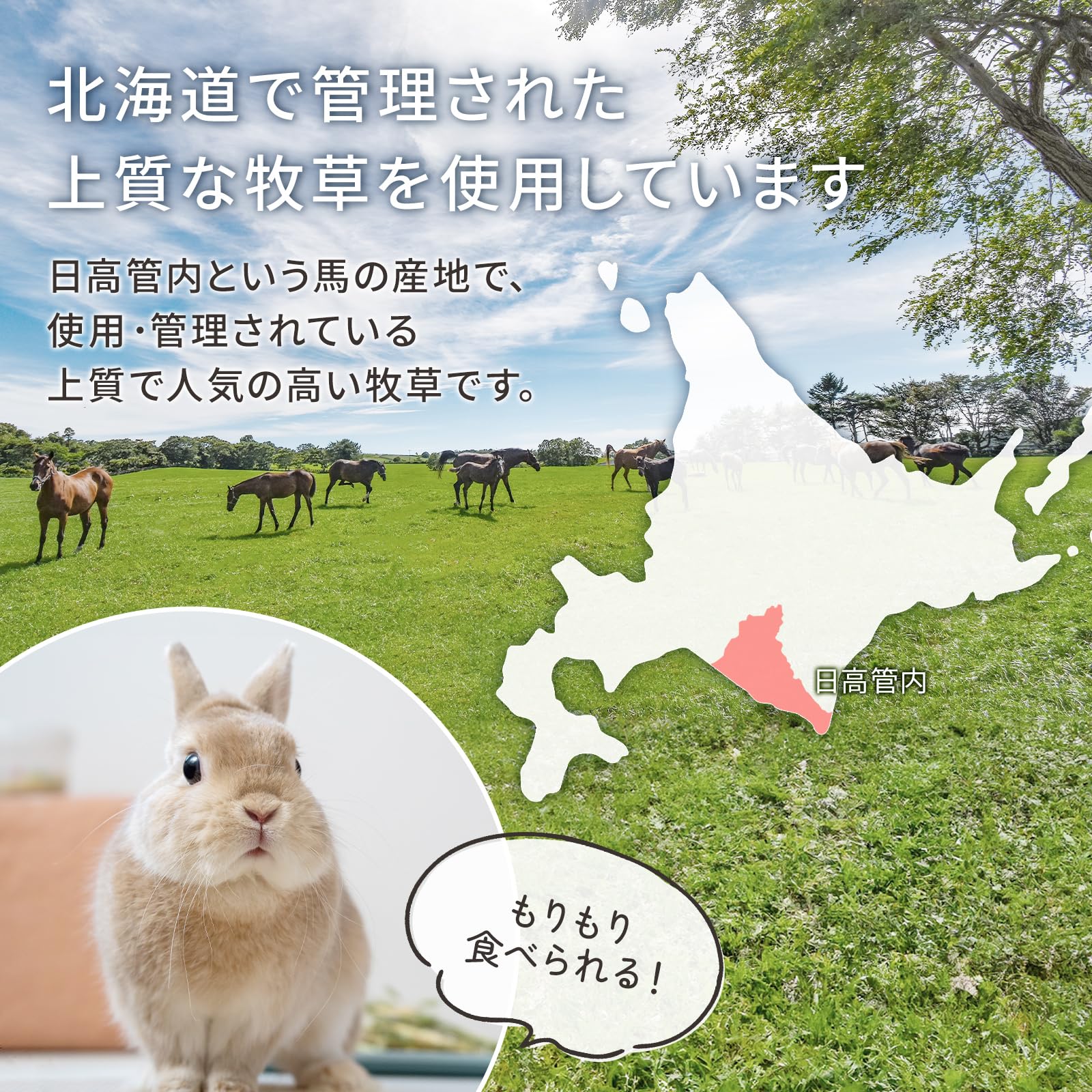 Amazon | もふぱふぇ チモシー ダブルプレス アメリカ産 2番刈り