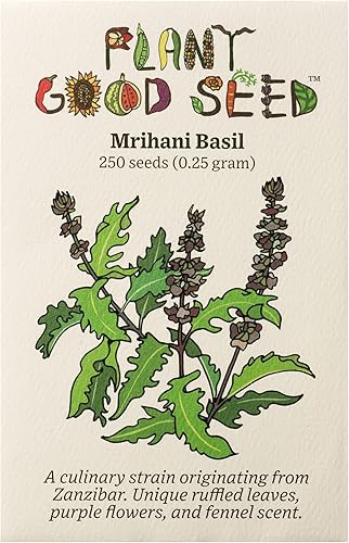 Semillas de albahaca Mrihani Paquete de 250 semillas de hierbas orgánicas certificadas, sin OMG, polinizadas abiertas y sin tratar para plantar, de Semillas de albahaca Mrihani Paquete de 250 semillas de hierbas orgánicas certificadas, sin OMG, polinizadas abiertas y sin tratar para plantar, de