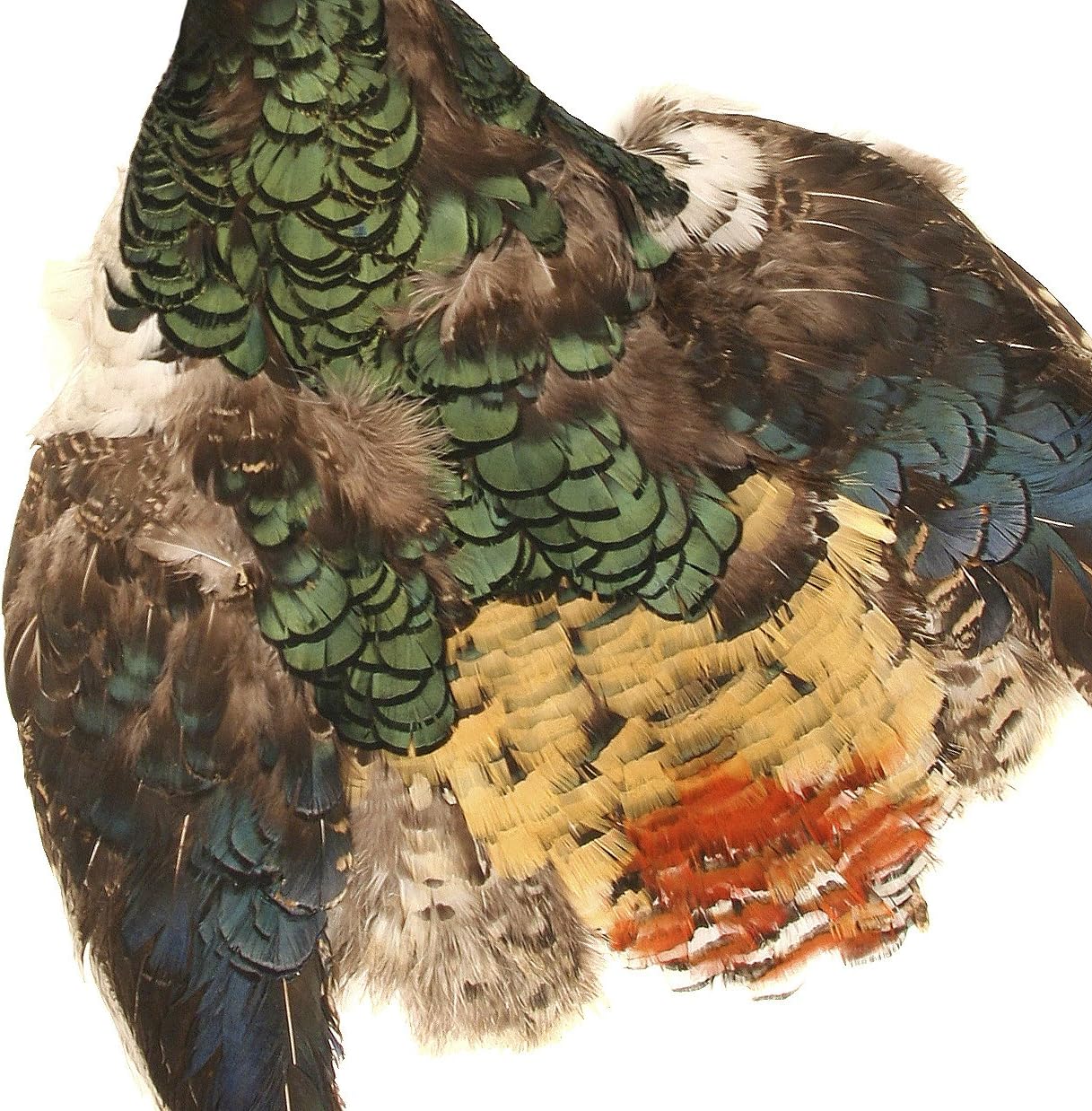 ZUCKER™ Lady Amherst Pheasant Pelt #1 - Natural-NoC