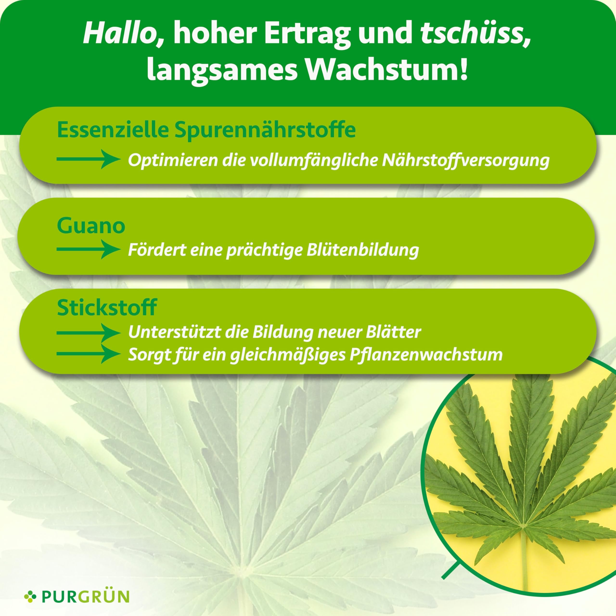 Indica-Dünger-Set 2 x 1 Liter – Schnell wirksame Rezeptur – Vollspektrum-Nährstoffe für Wachstum & Blüte – Flüssigdünger Indoor & Outdoor – Für alle Wachstumsphasen von Indica-Pflanzen