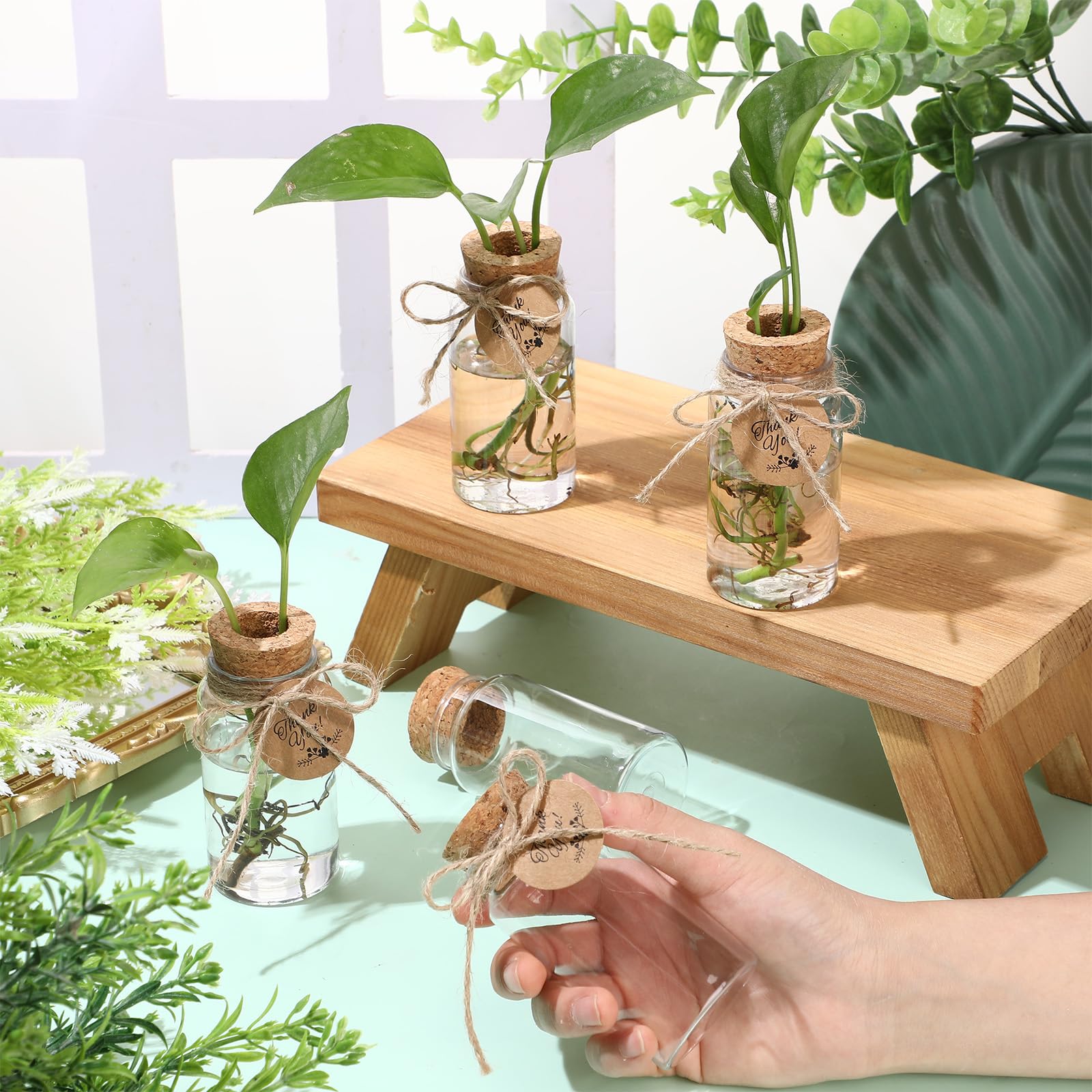 Baderke Kunststoff-Pflanzen-Anzuchtstationen mit Lochdeckel, 118 ml, transparente Anzuchtgläser mit Dankeschön-Etiketten, für Pflanzenliebhaber, Geschenke für Frauen, Büro, Zuhause, Garten, 48 Stück