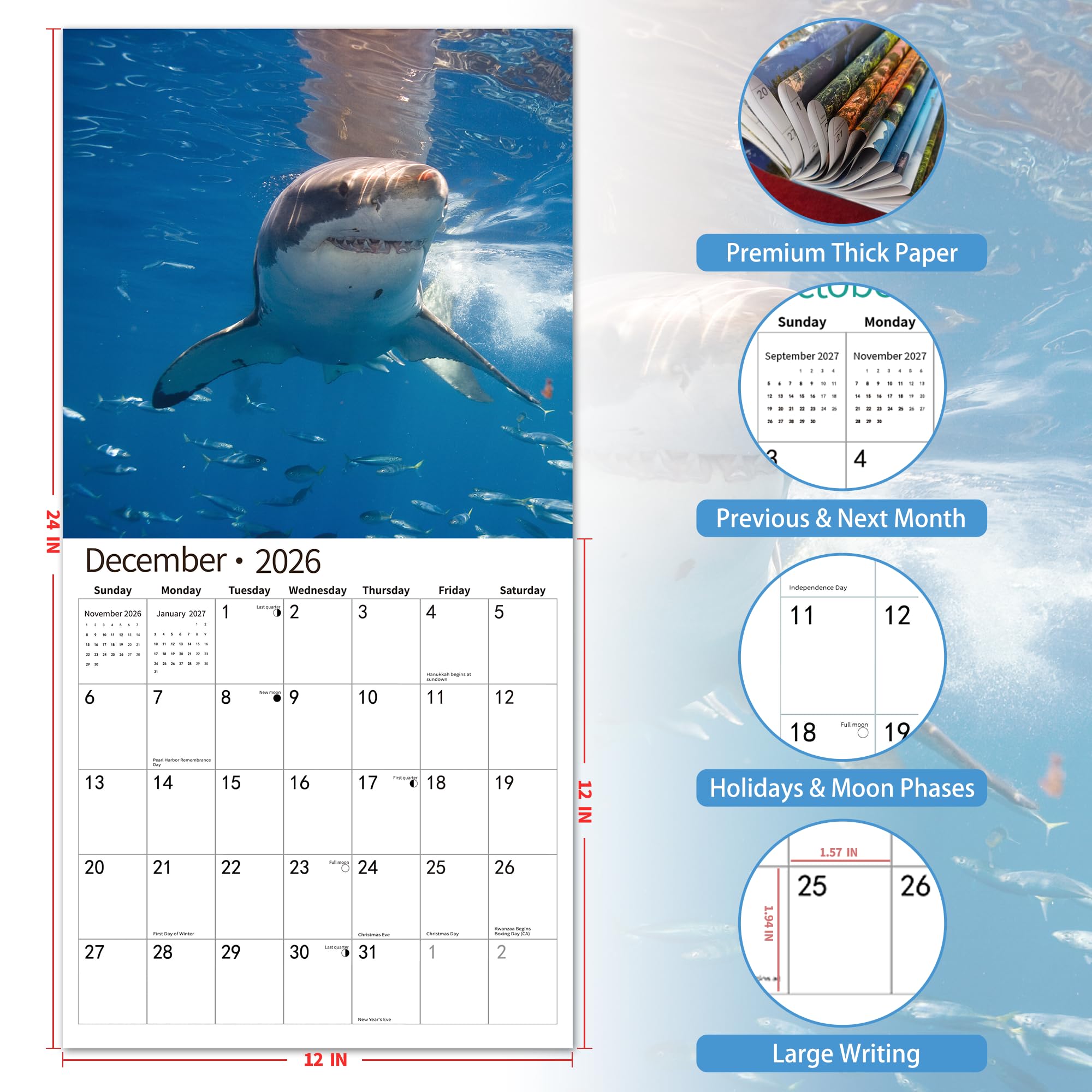 2026 Wandkalender, Kalender 2026, November 2025 – Dezember 2026, Wandkalender Hai, 30,5 x 61 cm geöffnet, ganzseitige Monate, dickes und stabiles Papier als Geschenk, perfekte Kalenderorganisation und