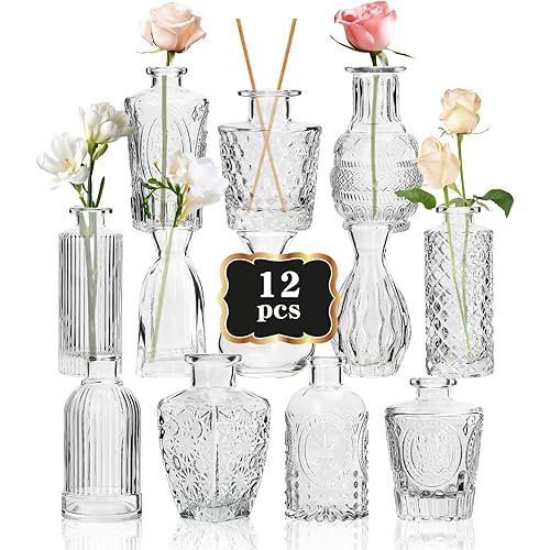 RUCKAE Small Clear Bud Vases Bulk 12 Pack Mini Flower Glass Vases for Centerpiece Table Wedding Decorations Home Decor Party(Transparent)
