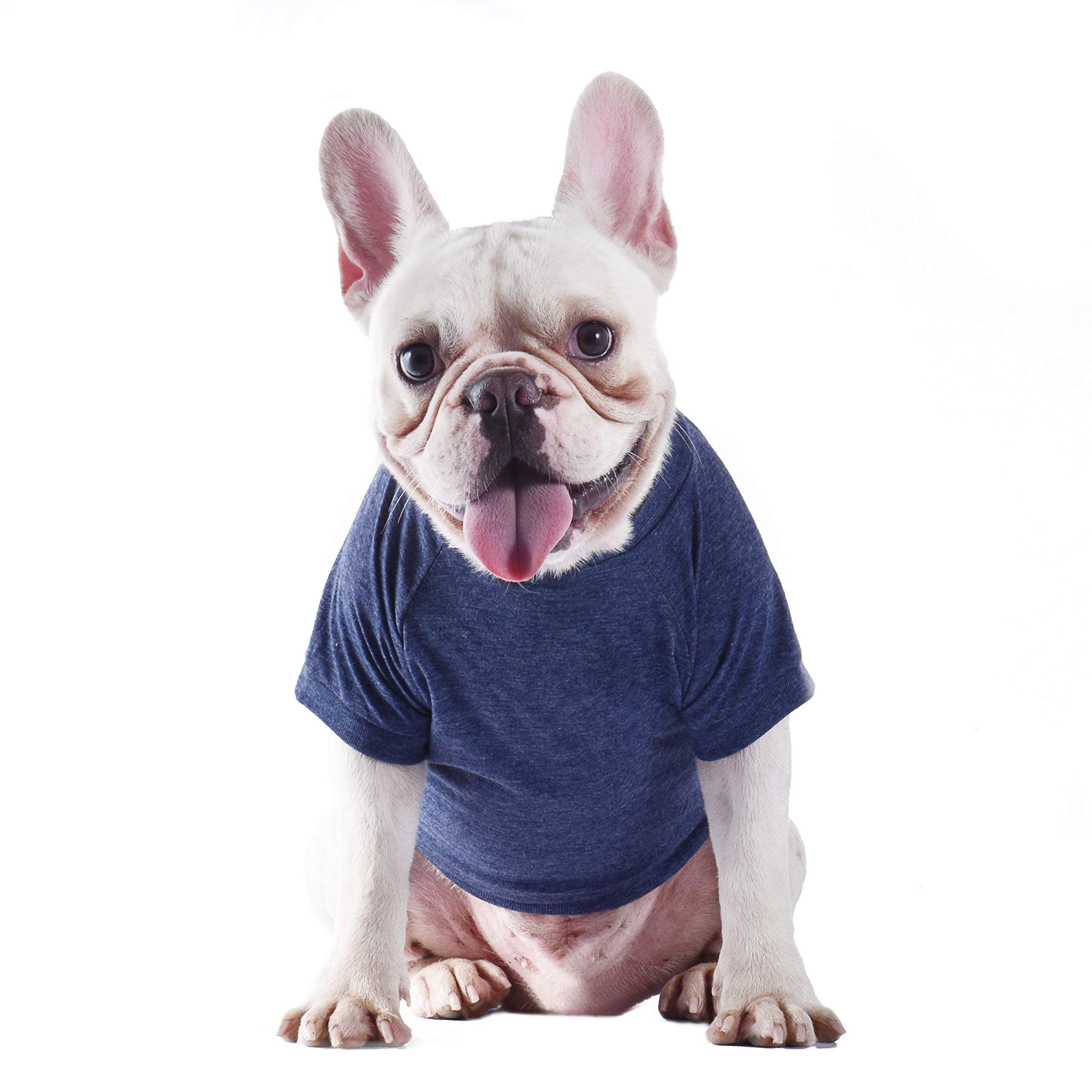 Star Wars For Pets FF11807 Yoda Wisdom - Camiseta de Perro de Star Wars para Perros pequeños, Talla XS, Color Azul