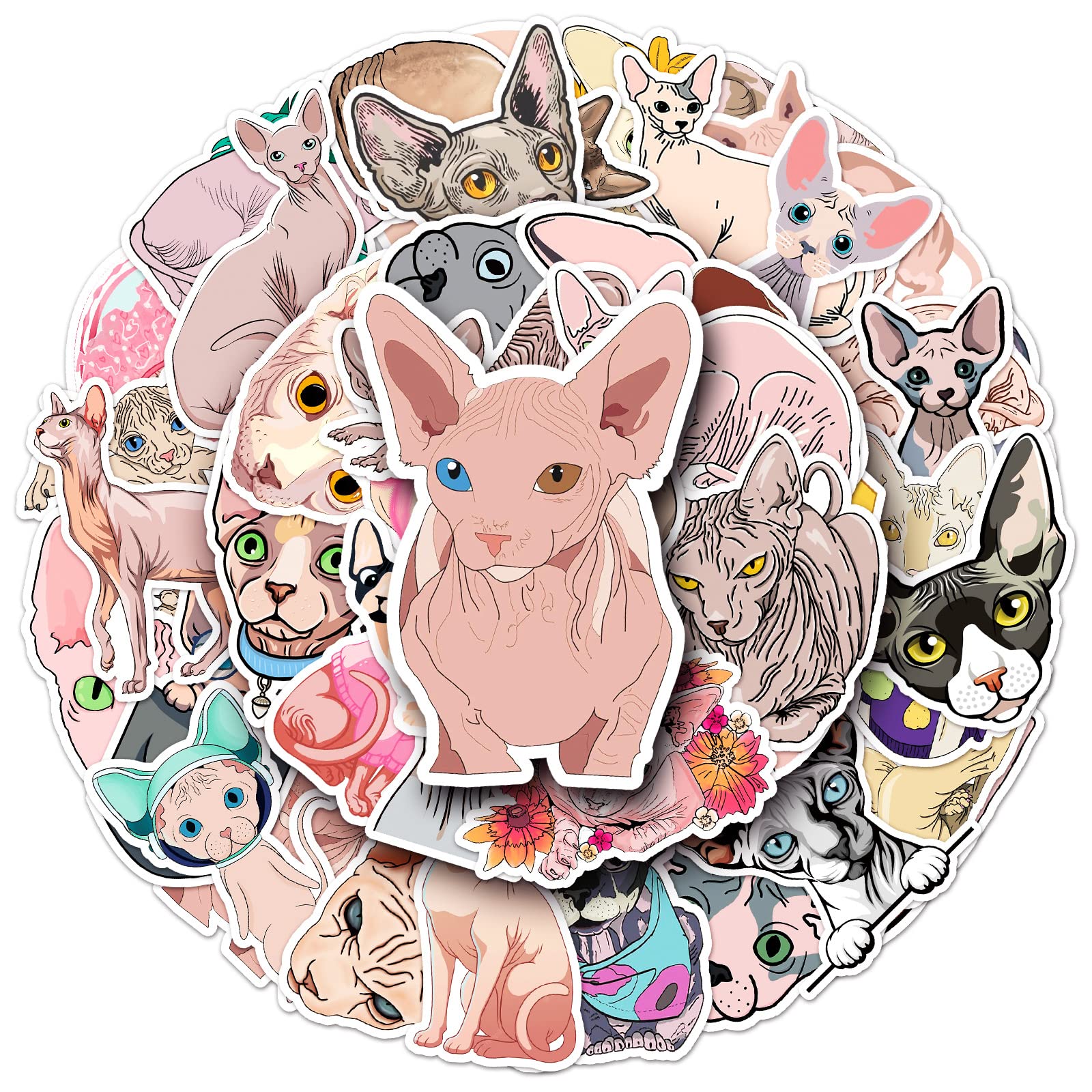 Amazon.co.jp: スフィンクス 猫 ネコ ニャー にゃんこ ペット イラスト