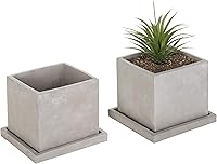 MyGift Set of 2 Light Gray Cement 5-Inch Square Succulent Planters with Drainage Holes & Removable Saucers
