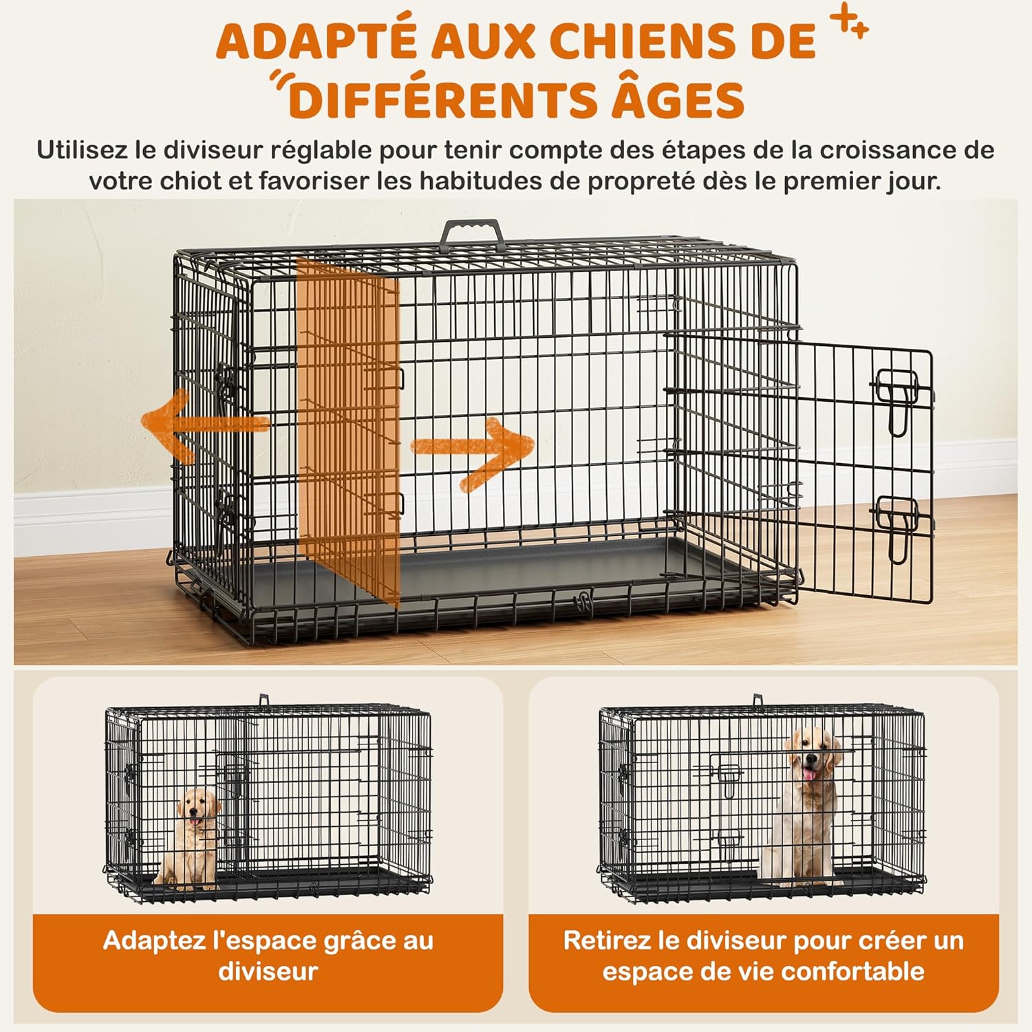 Adjustable divider in the dog crate