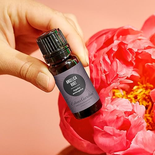Miniatura 2 de Edens Garden Aceite esencial de raíz de angélica, 100% puro, grado terapéutico (aceite esencial de aromaterapia natural sin diluirhomeopático) 0.3